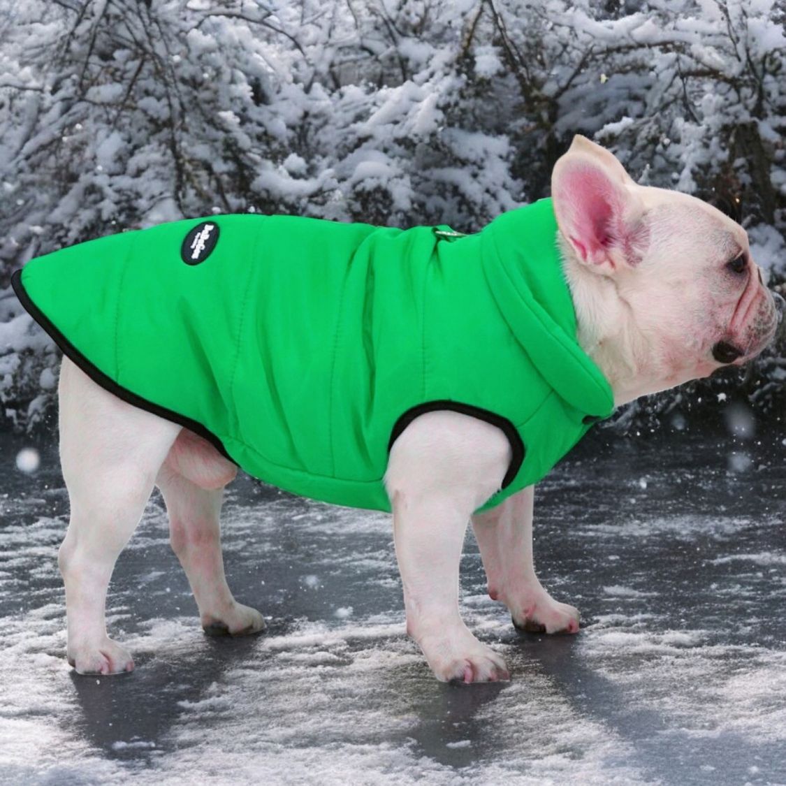 French Bulldog Comfortable Warm Outerwear for Travel Comfort-fadou