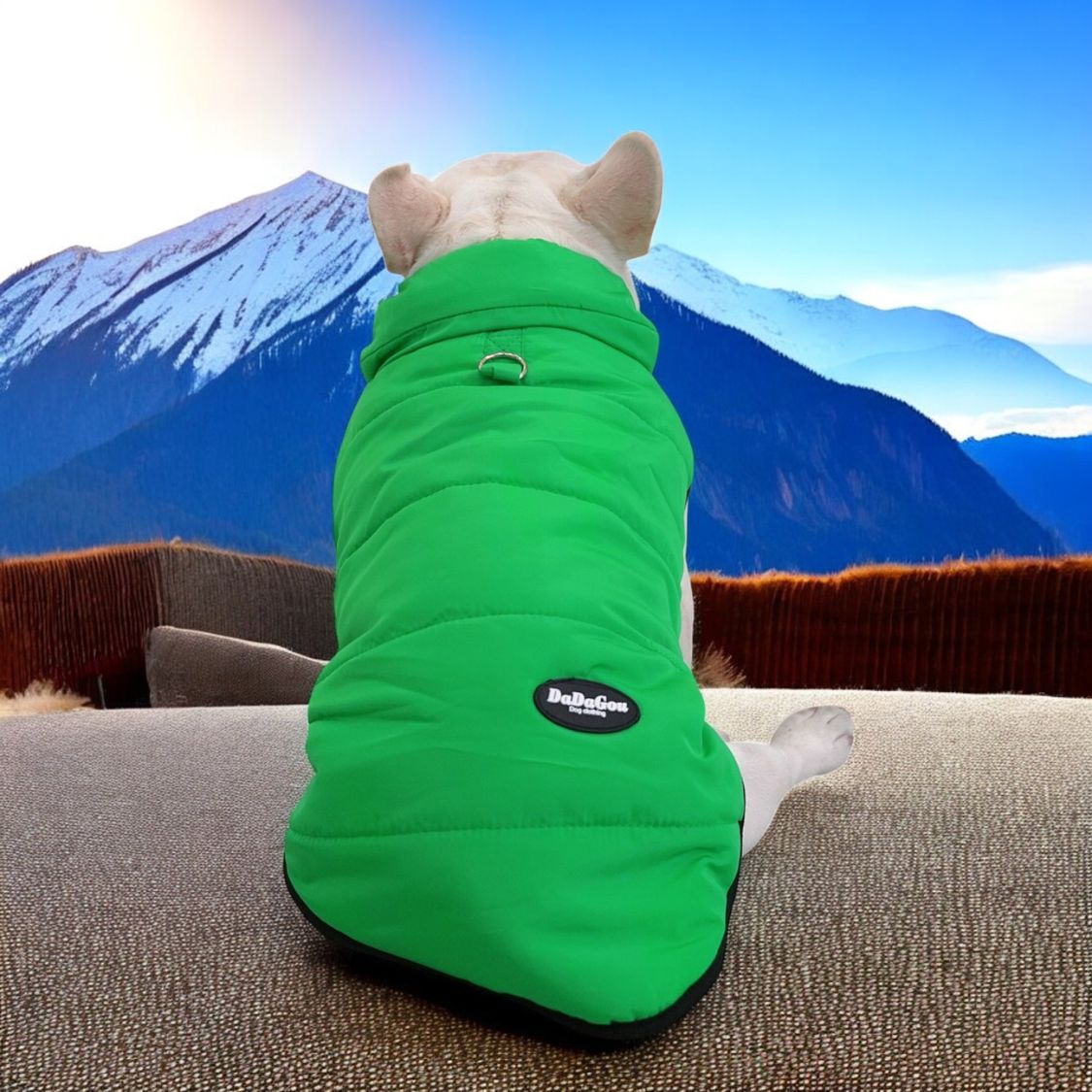 French Bulldog Comfortable Warm Outerwear for Travel Comfort-fadou