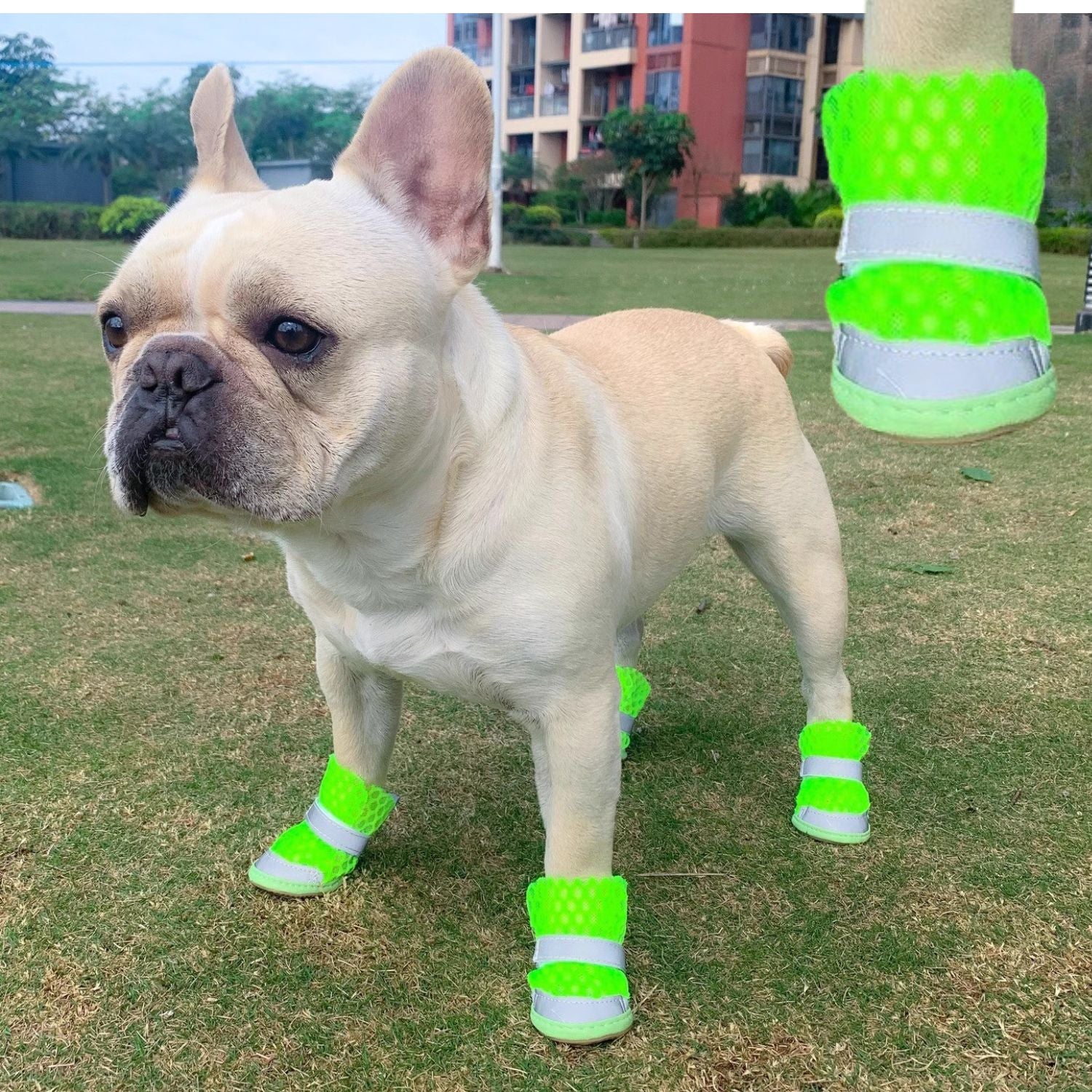 Frenchie Breathable Protective Booties for Small Breeds-fadou