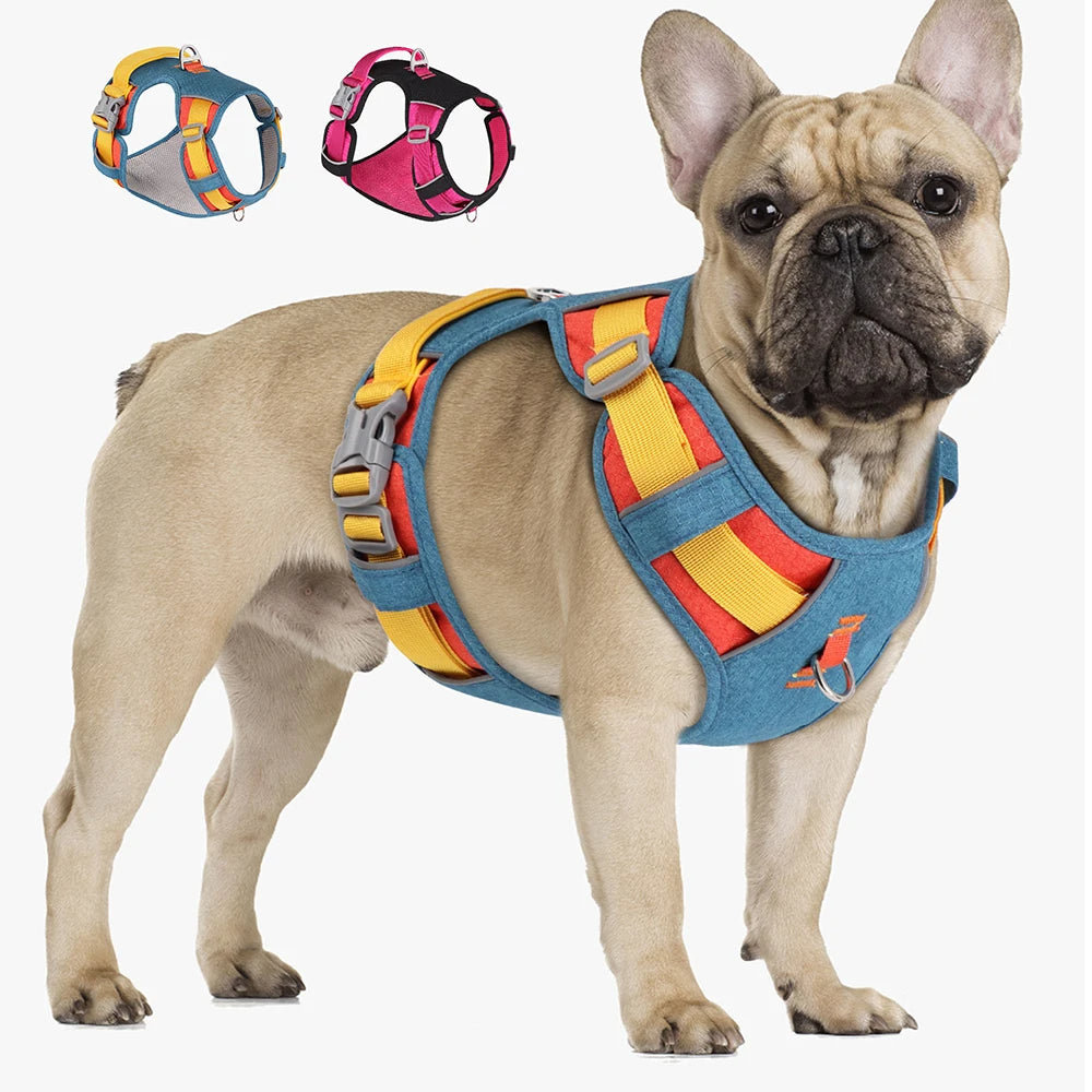 Reflective No-Pull Walking Harness for Flat-Face Breeds-fadou
