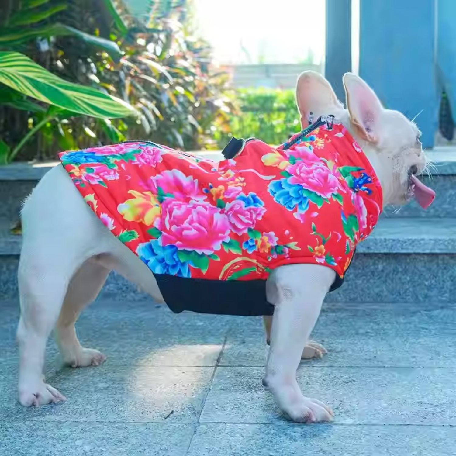 PupTrend French Bulldog Accessory for Frenchie Enthusiasts-fadou
