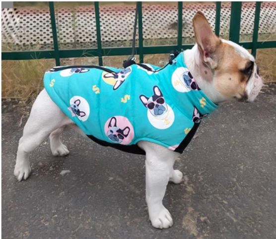 PupTrend French Bulldog Accessory for Frenchie Enthusiasts-fadou