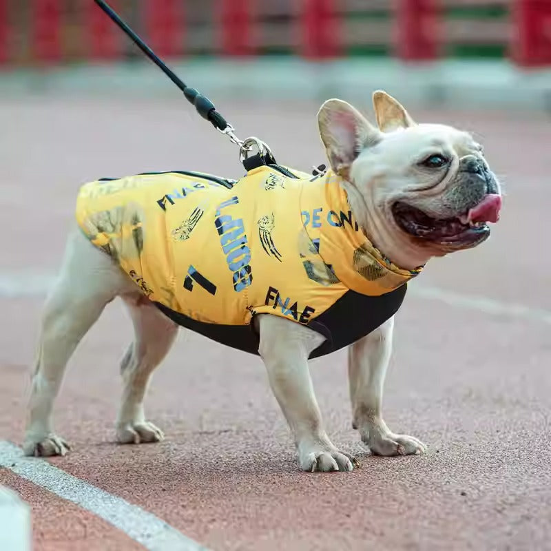 PupTrend French Bulldog Accessory for Frenchie Enthusiasts-fadou