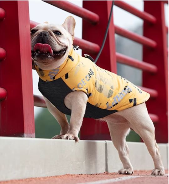 PupTrend French Bulldog Accessory for Frenchie Enthusiasts-fadou