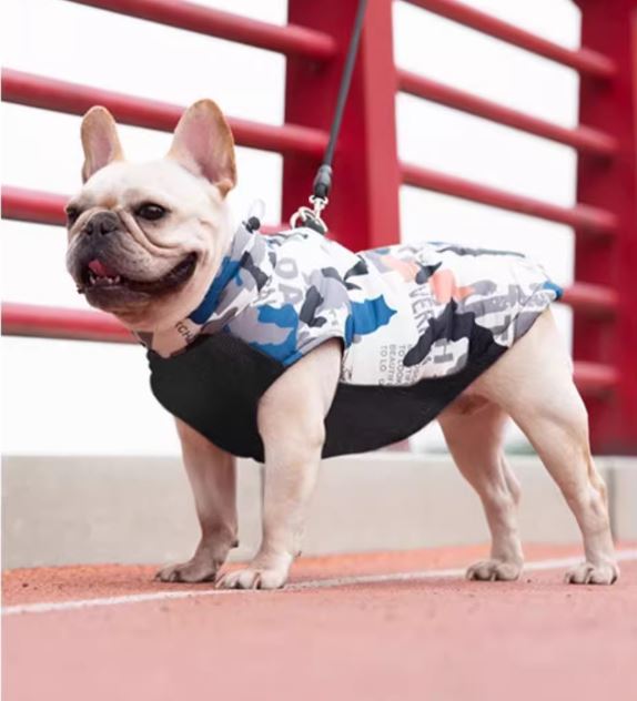 PupTrend French Bulldog Accessory for Frenchie Enthusiasts-fadou