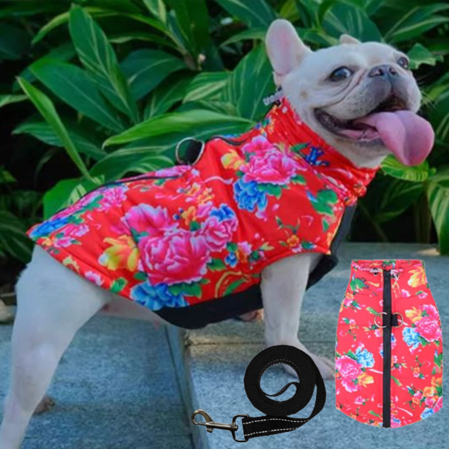 PupTrend French Bulldog Accessory for Frenchie Enthusiasts-fadou