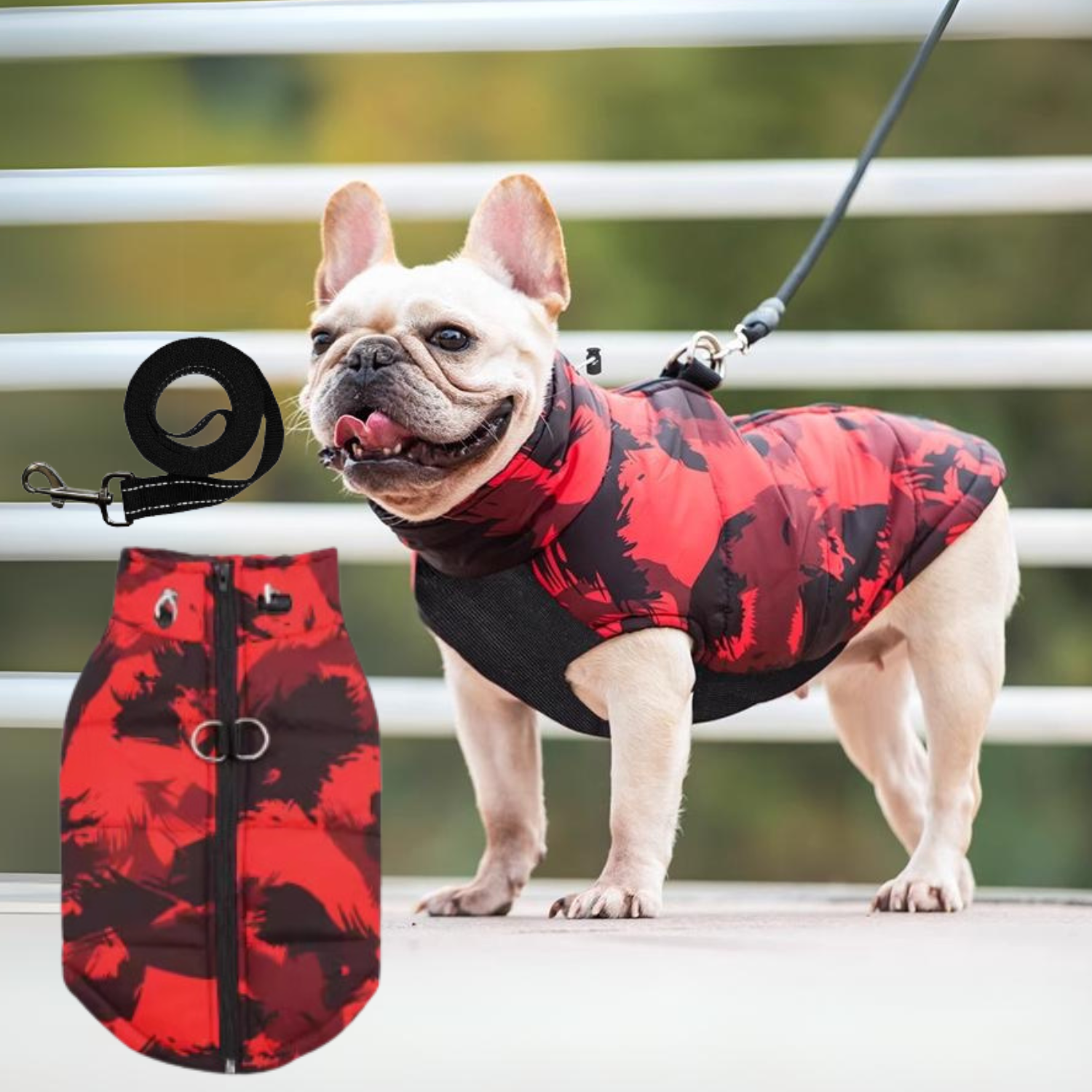 PupTrend French Bulldog Accessory for Frenchie Enthusiasts-fadou