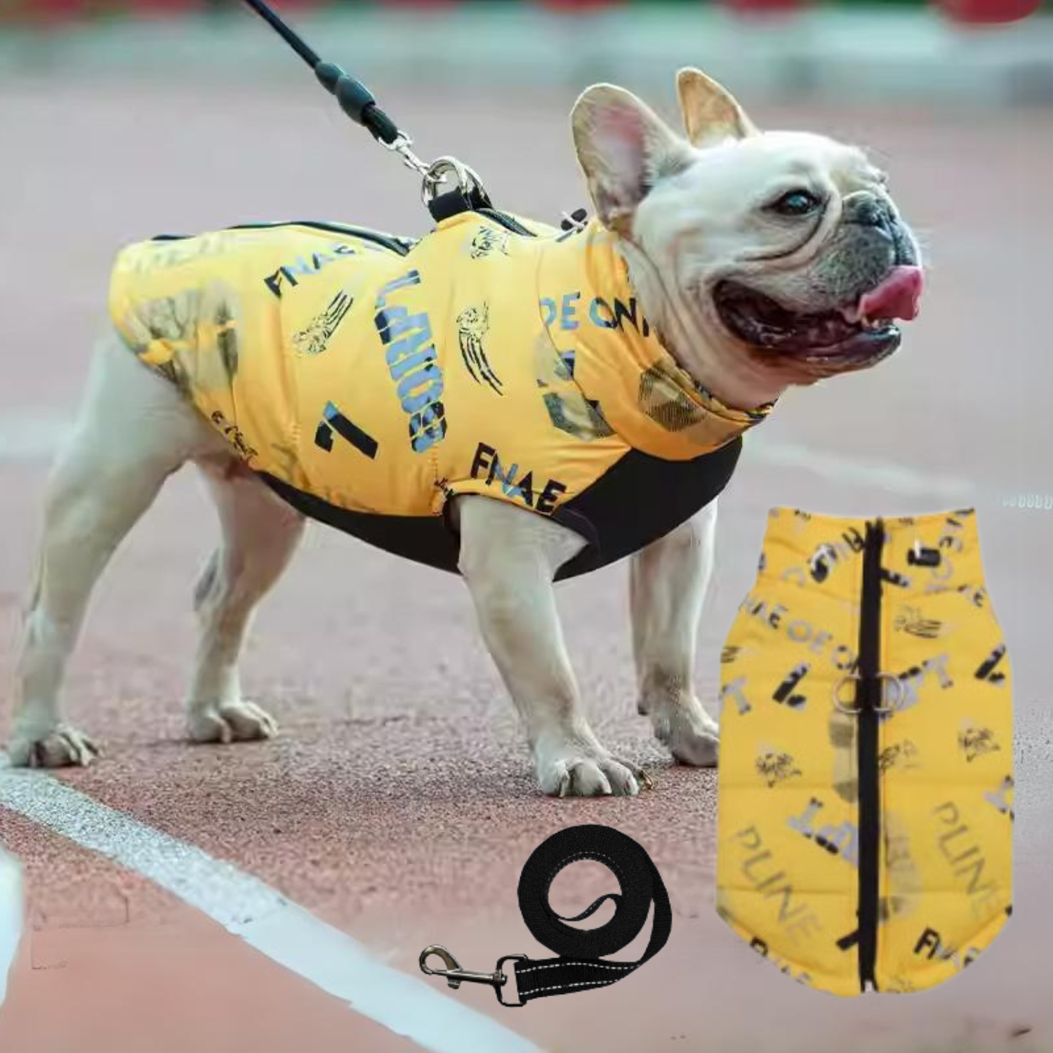 PupTrend French Bulldog Accessory for Frenchie Enthusiasts-fadou