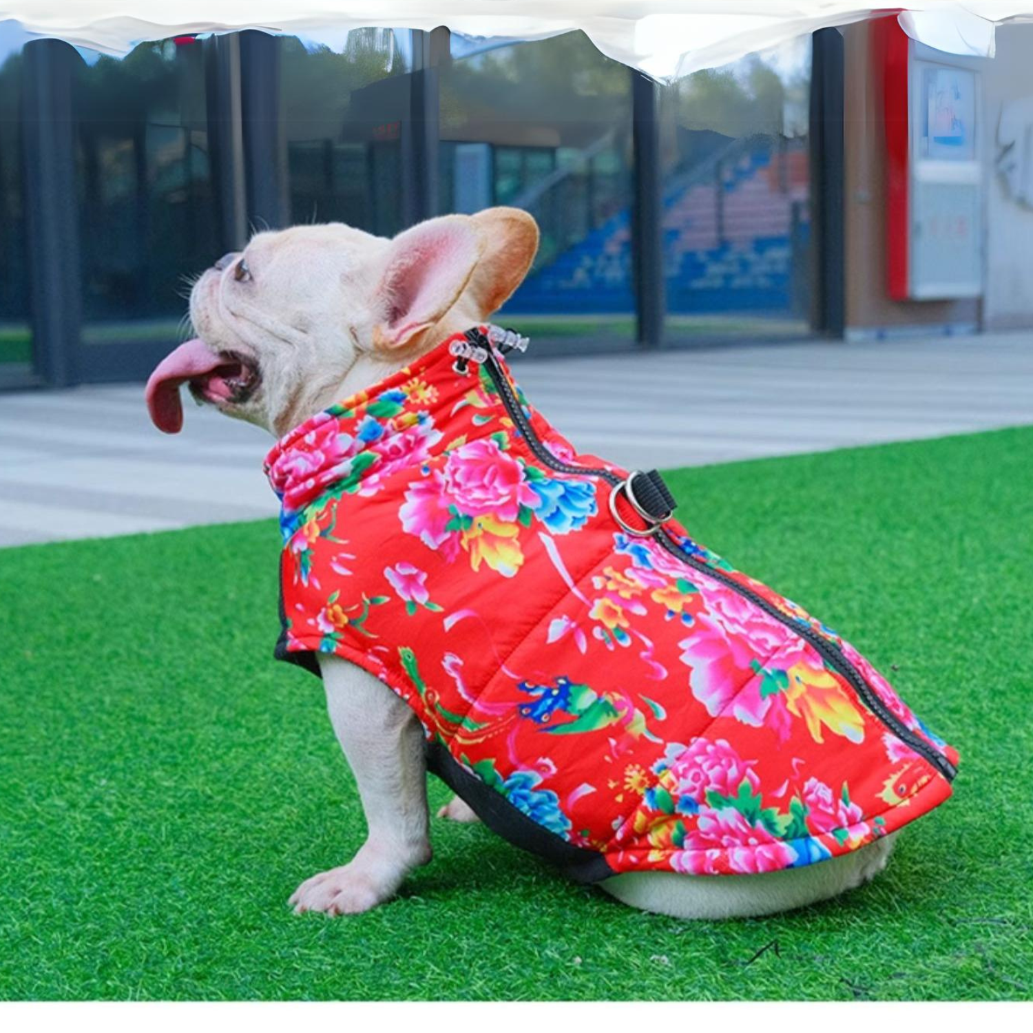 PupTrend French Bulldog Accessory for Frenchie Enthusiasts-fadou