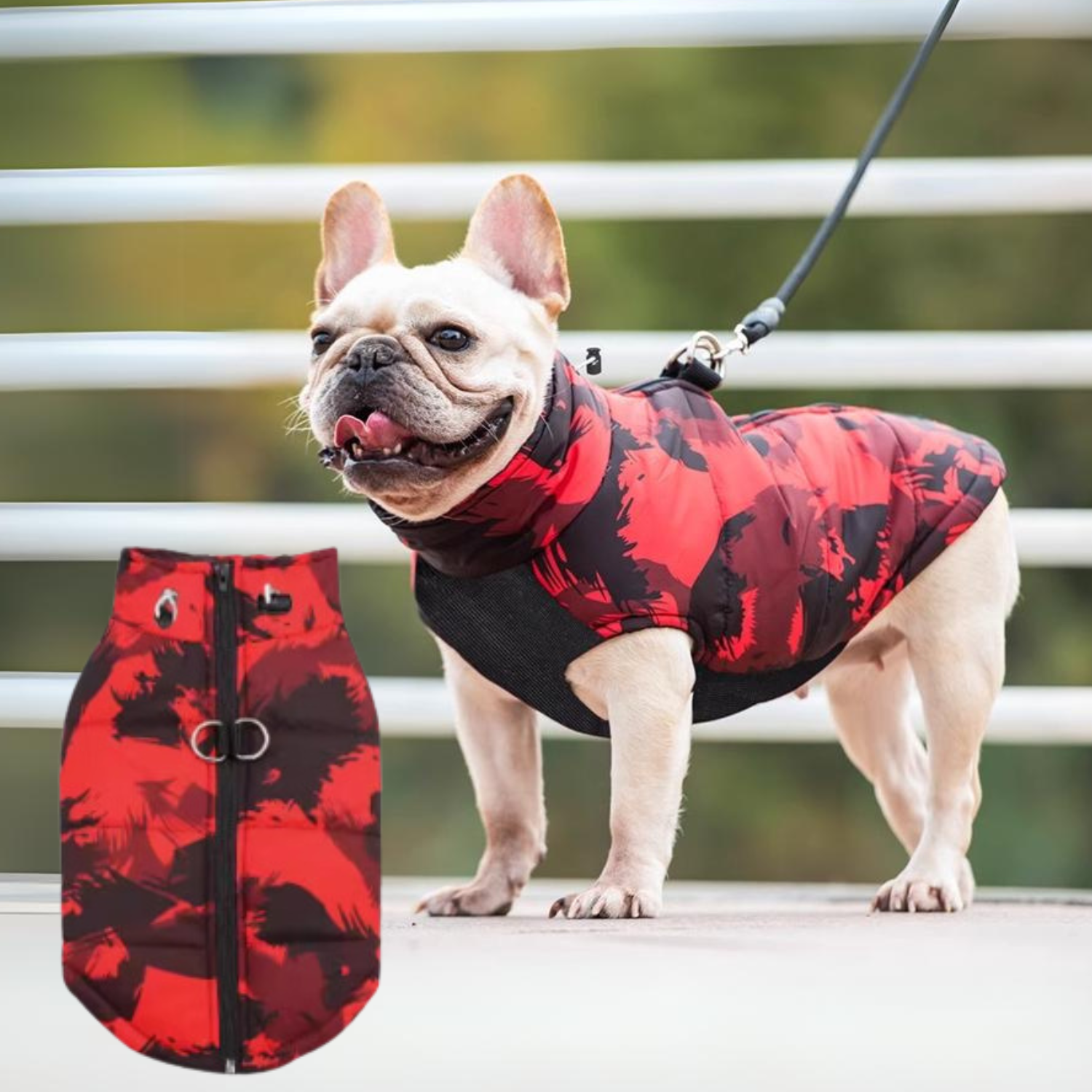 PupTrend French Bulldog Accessory for Frenchie Enthusiasts-fadou