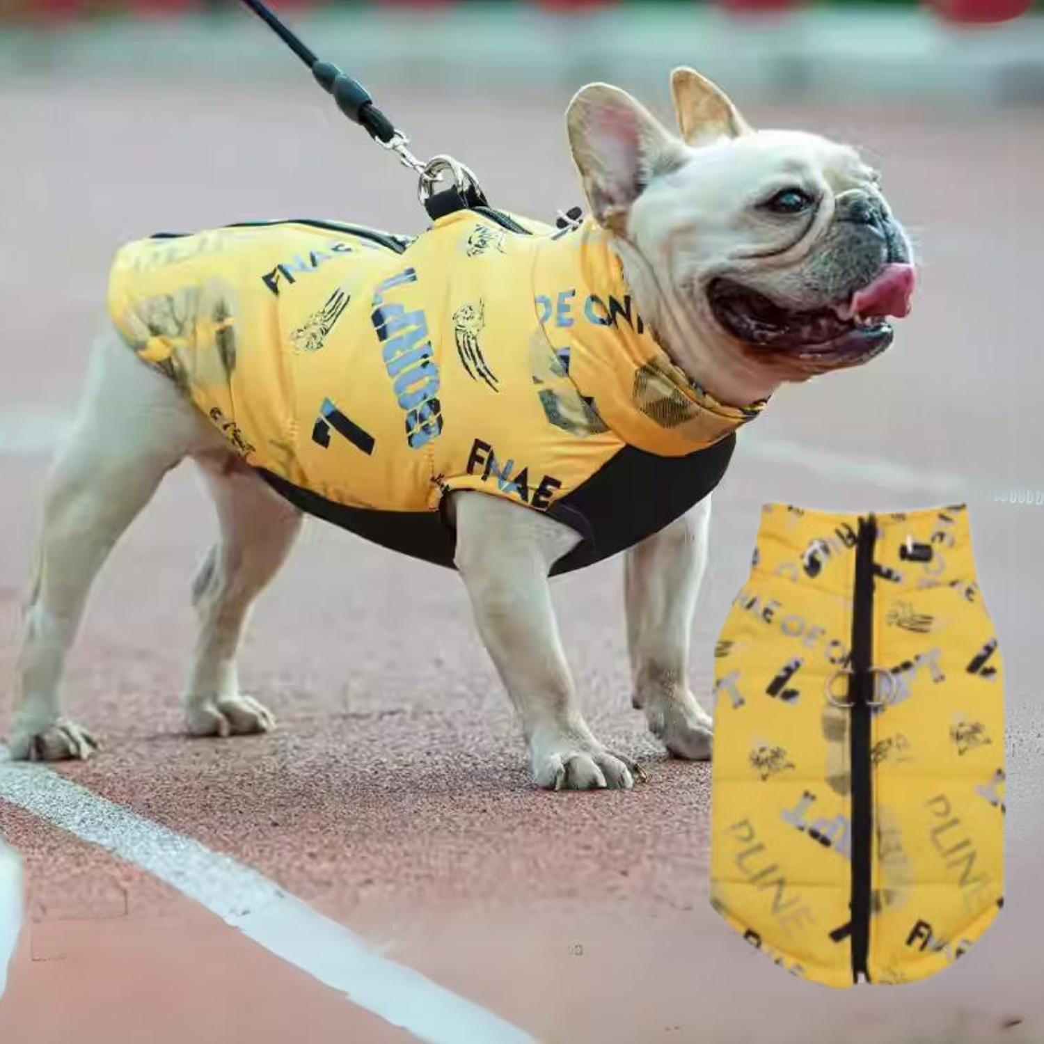 PupTrend French Bulldog Accessory for Frenchie Enthusiasts-fadou