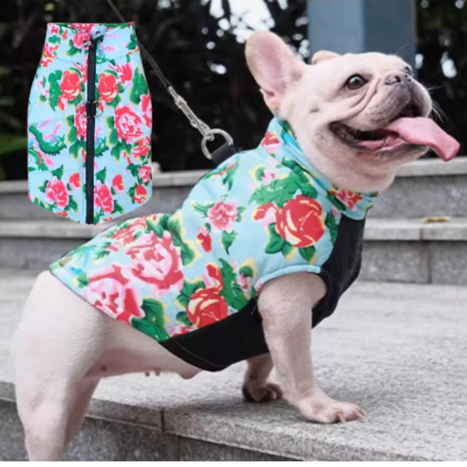 PupTrend French Bulldog Accessory for Frenchie Enthusiasts-fadou