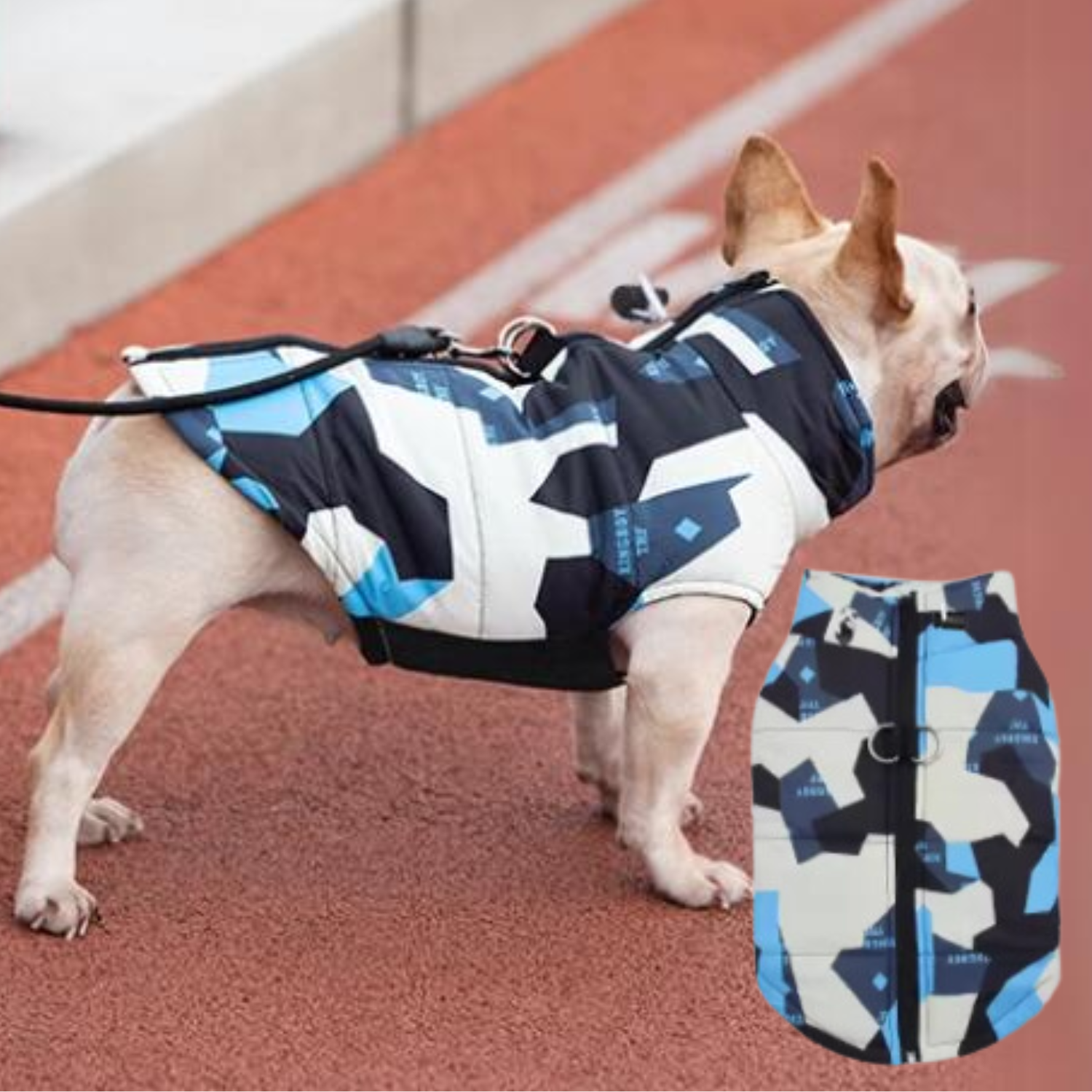 PupTrend French Bulldog Accessory for Frenchie Enthusiasts-fadou