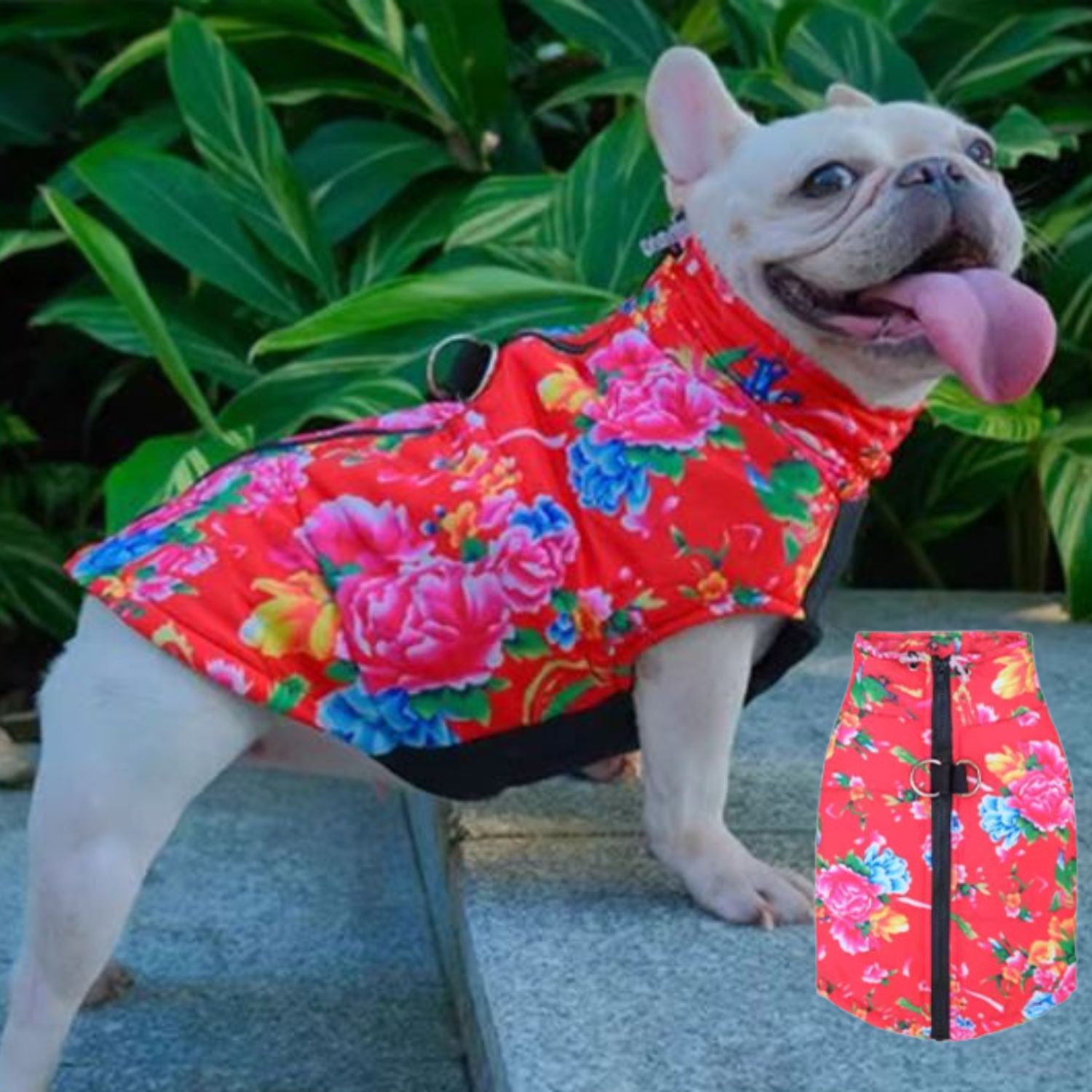 PupTrend French Bulldog Accessory for Frenchie Enthusiasts-fadou