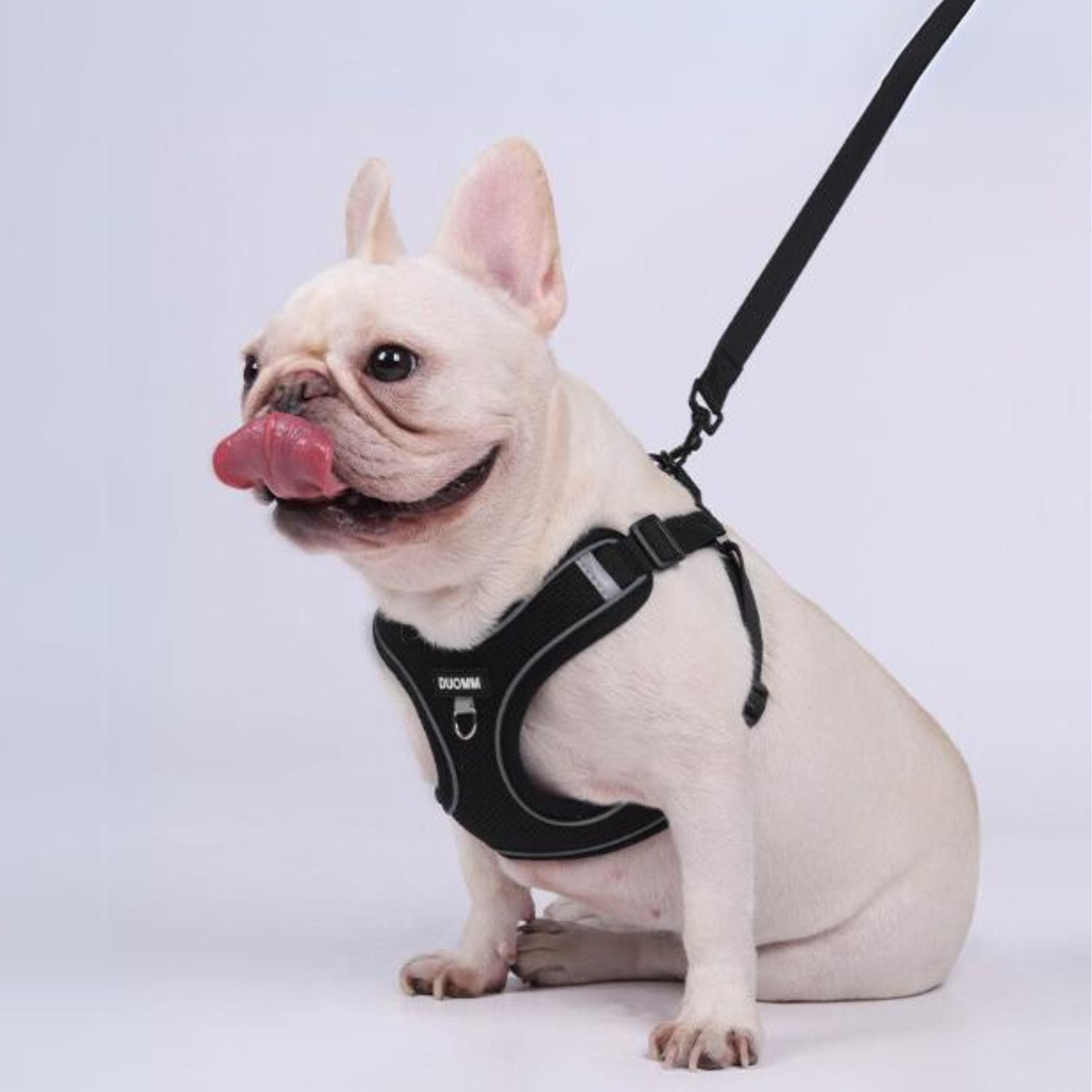 Explosion-Proof No-Pull Walking Harness for Daily Walks-fadou
