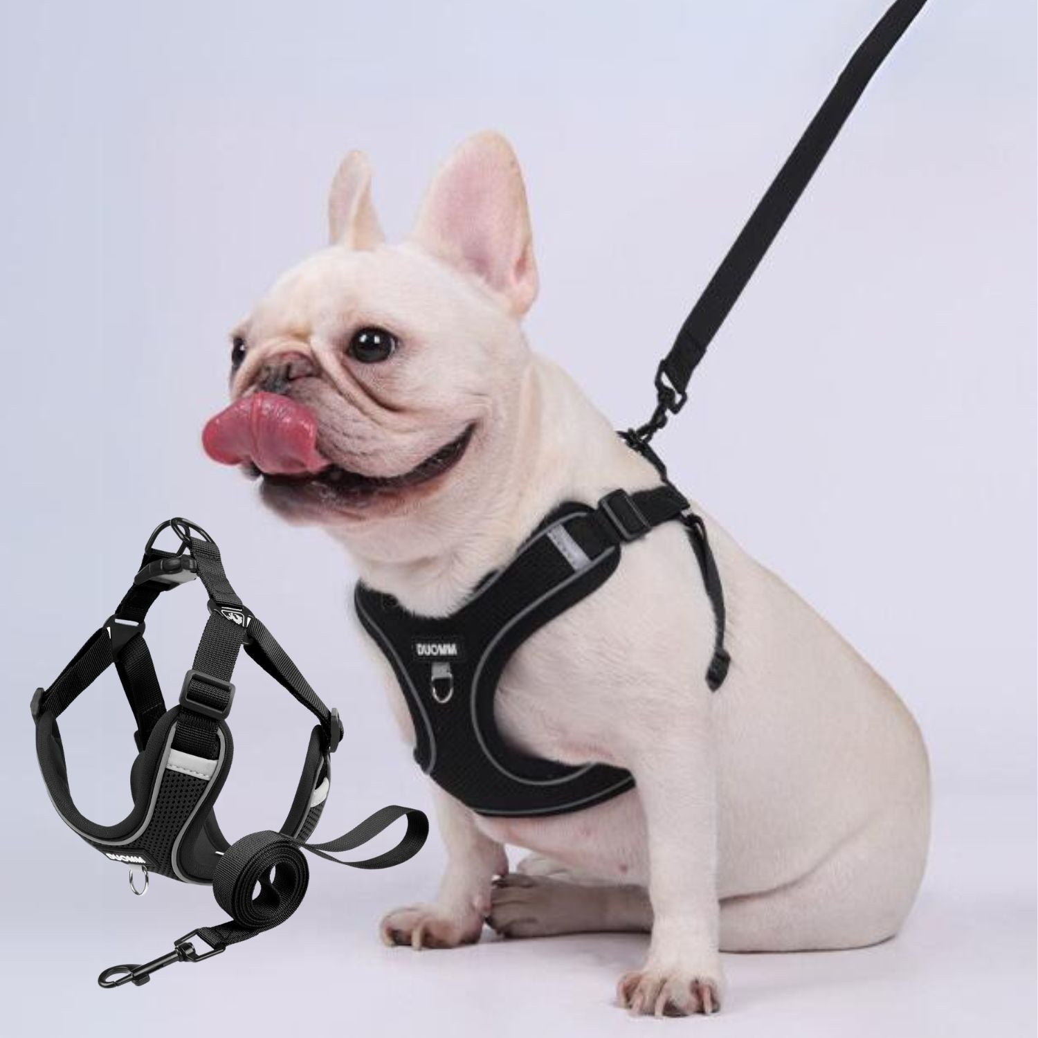 Explosion-Proof No-Pull Walking Harness for Daily Walks-fadou