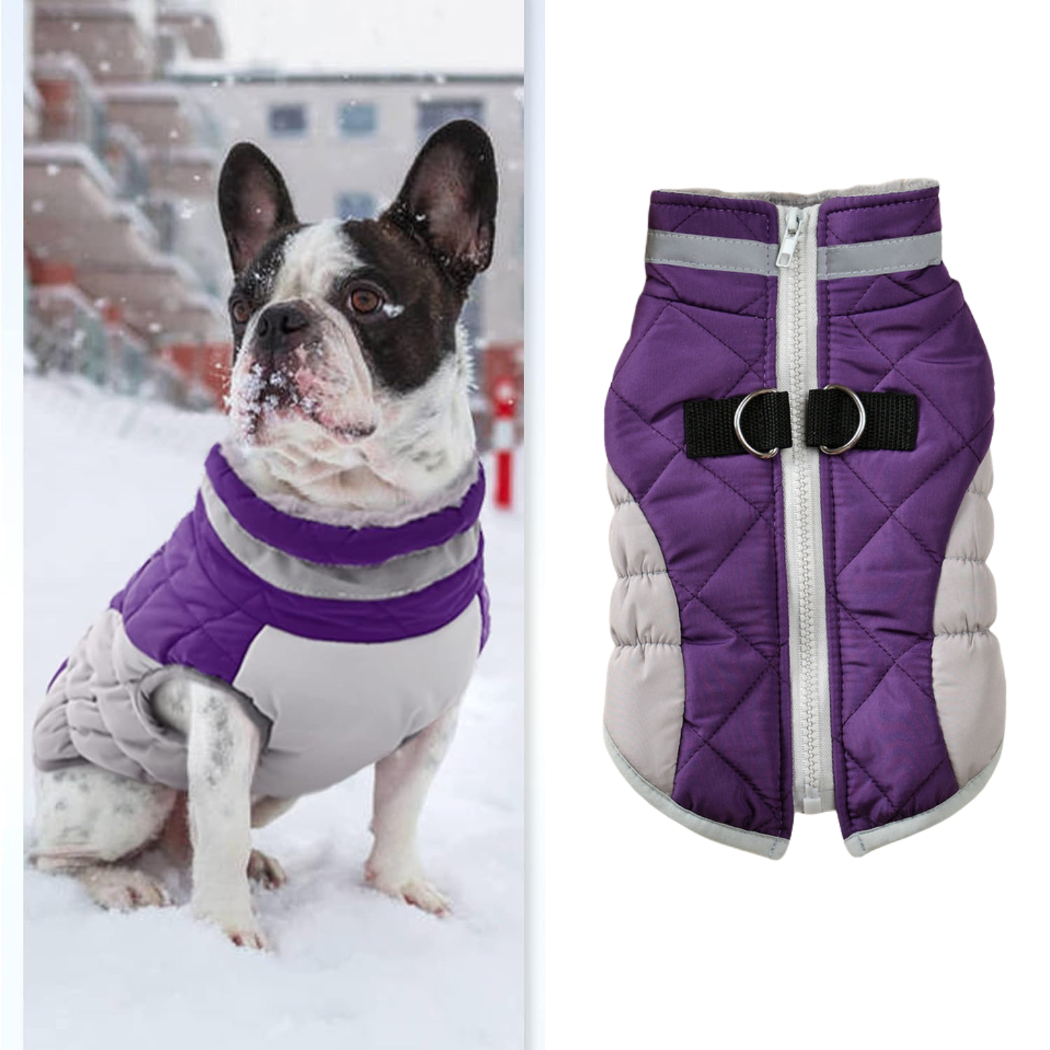 Frenchie Reflective Warm Outerwear for Flat-Face Breeds-fadou