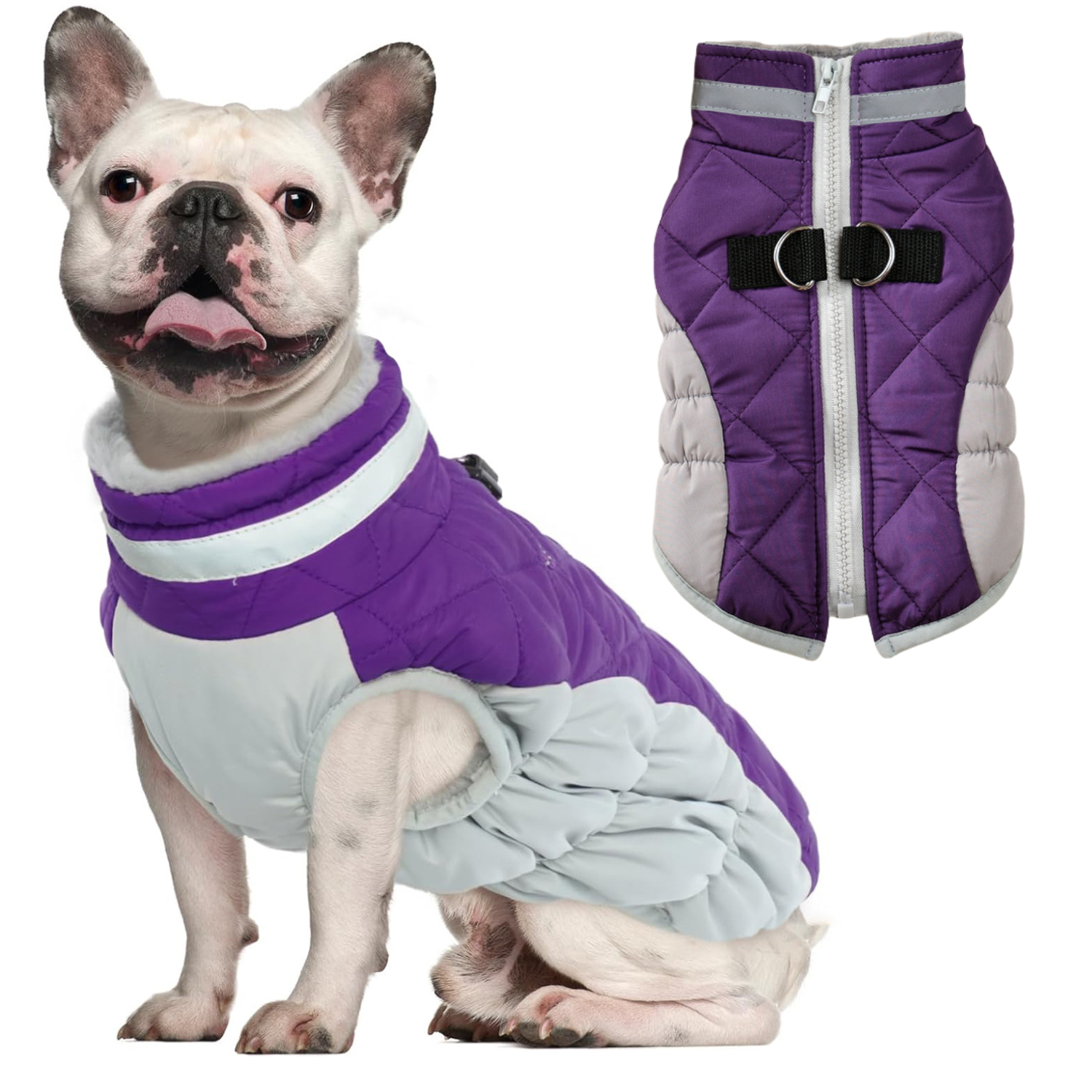 Frenchie Reflective Warm Outerwear for Flat-Face Breeds-fadou