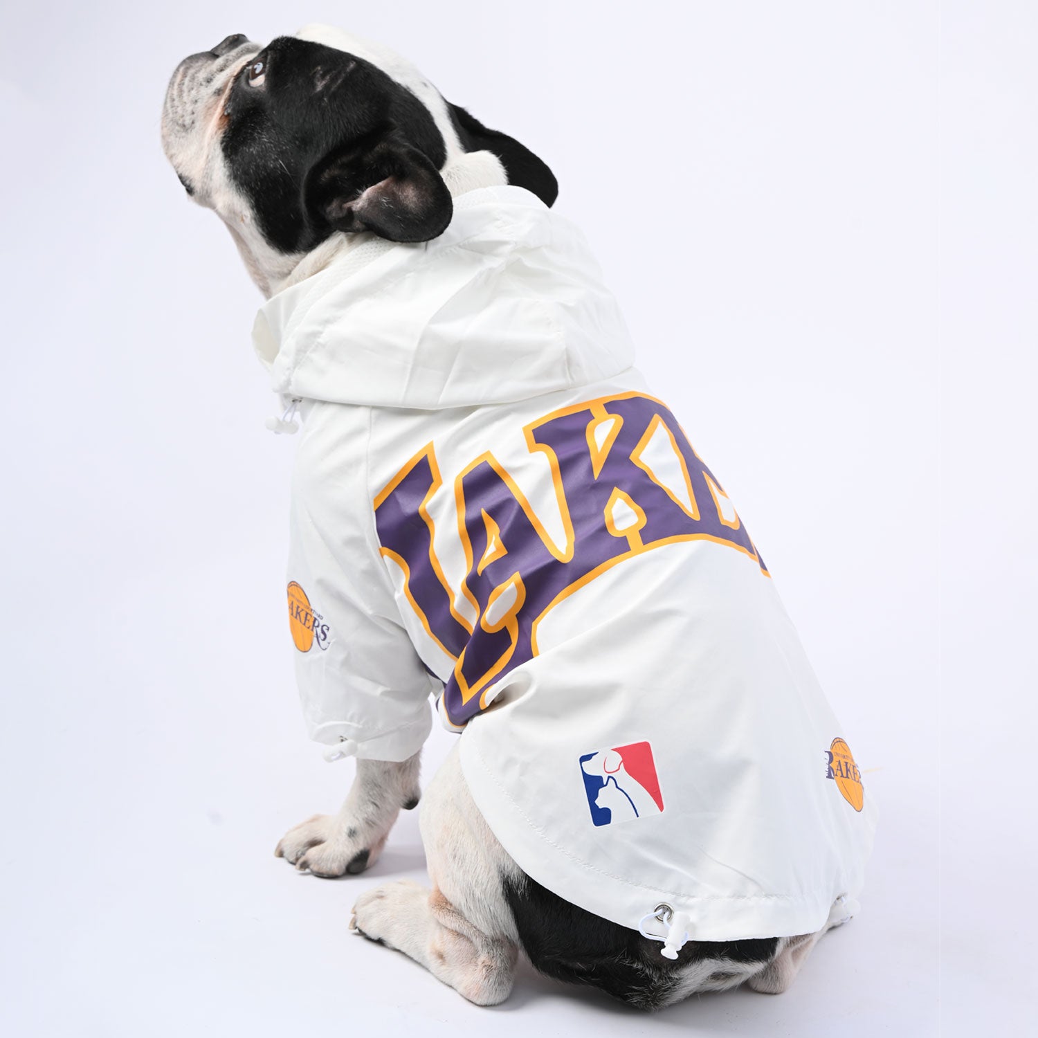 French Bulldog Winter Weather Shield for Flat-Face Breeds-fadou