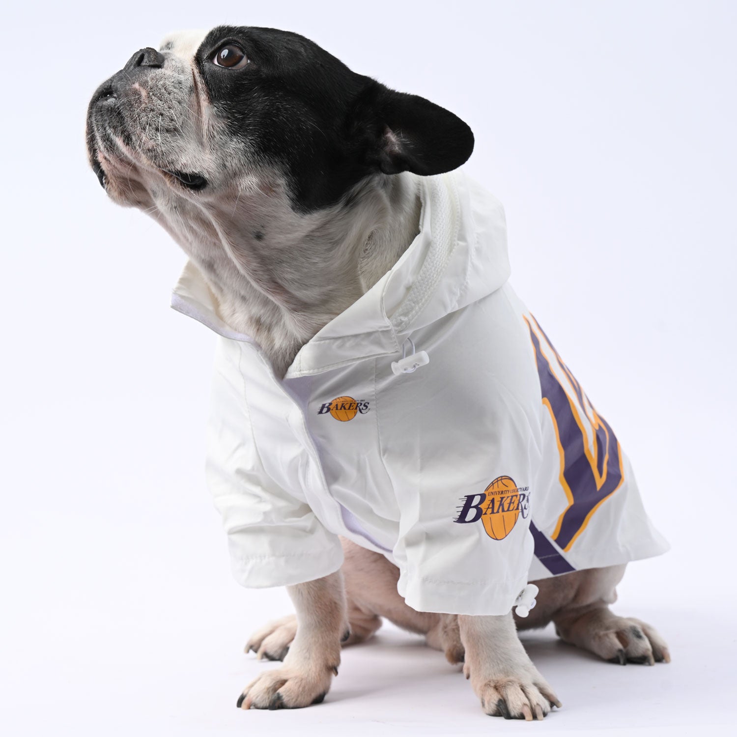 French Bulldog Winter Weather Shield for Flat-Face Breeds-fadou