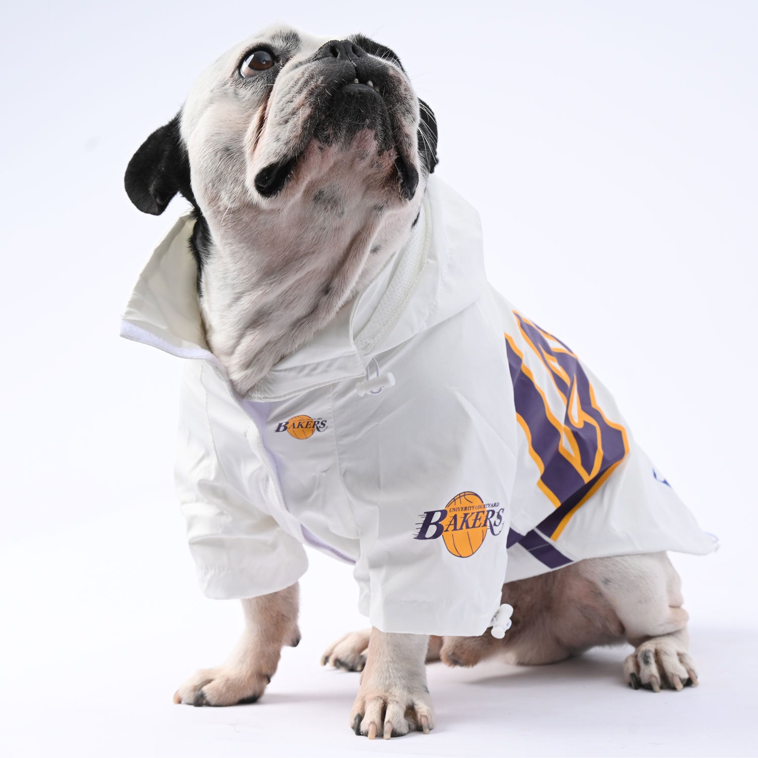 French Bulldog Winter Weather Shield for Flat-Face Breeds-fadou