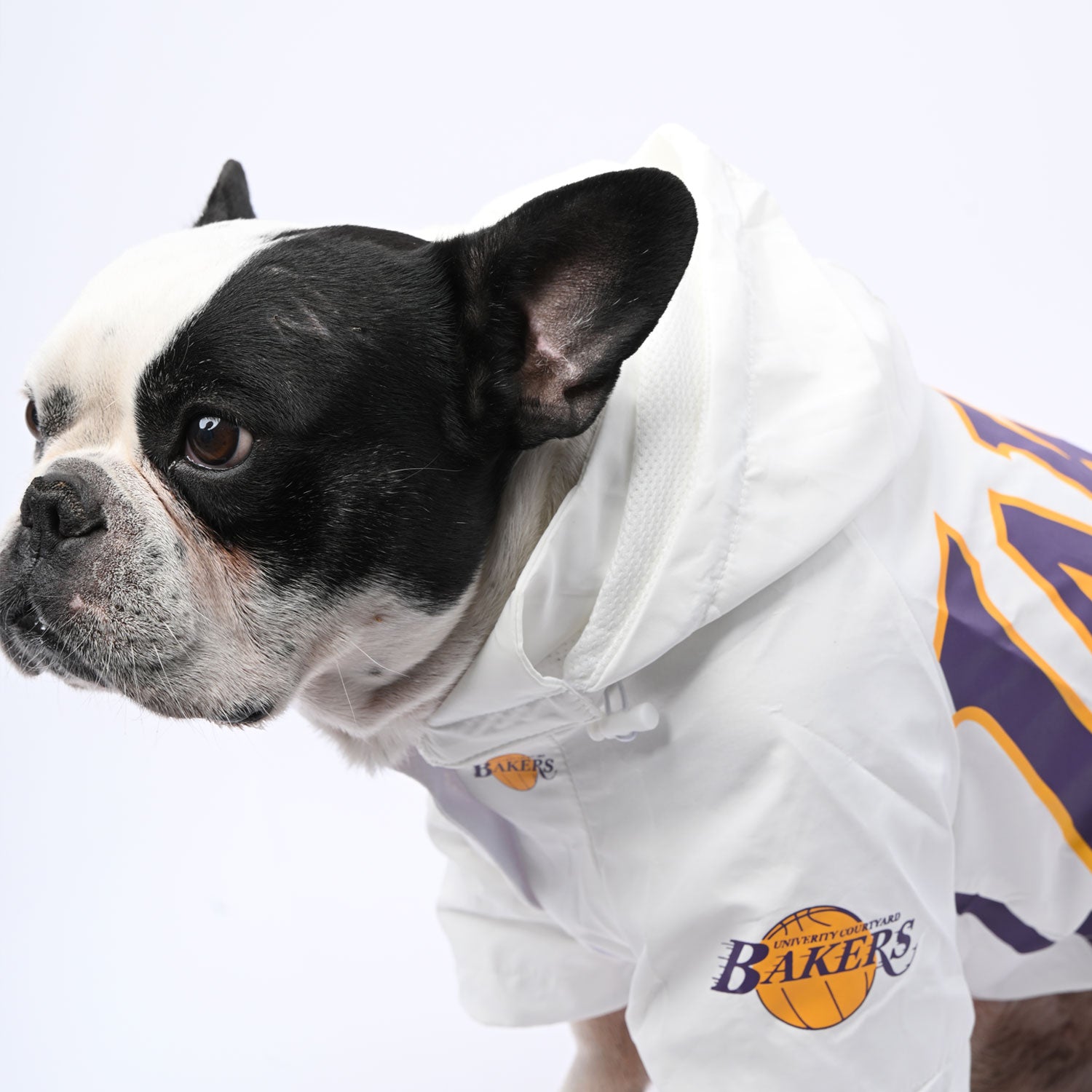 French Bulldog Winter Weather Shield for Flat-Face Breeds-fadou