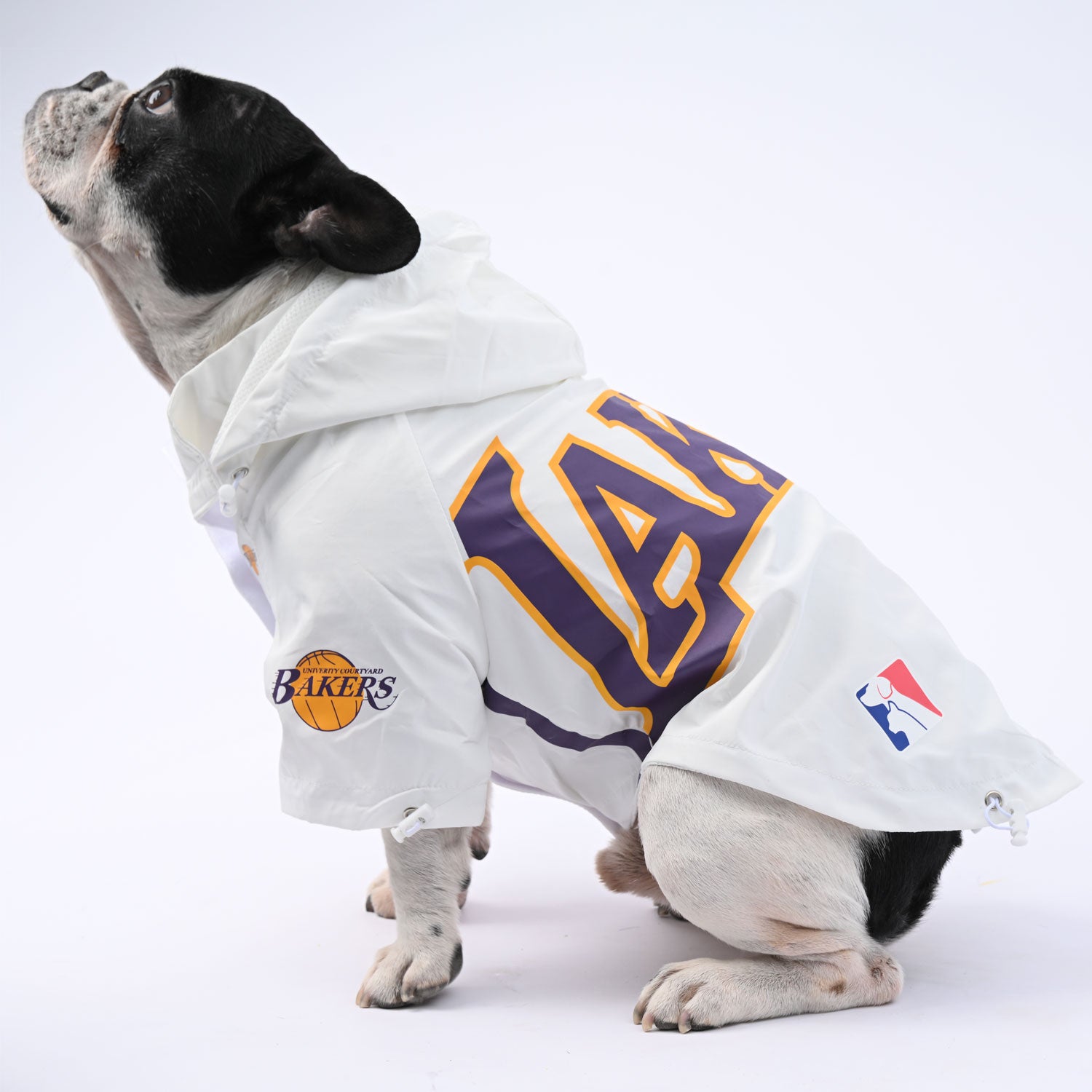 French Bulldog Winter Weather Shield for Flat-Face Breeds-fadou