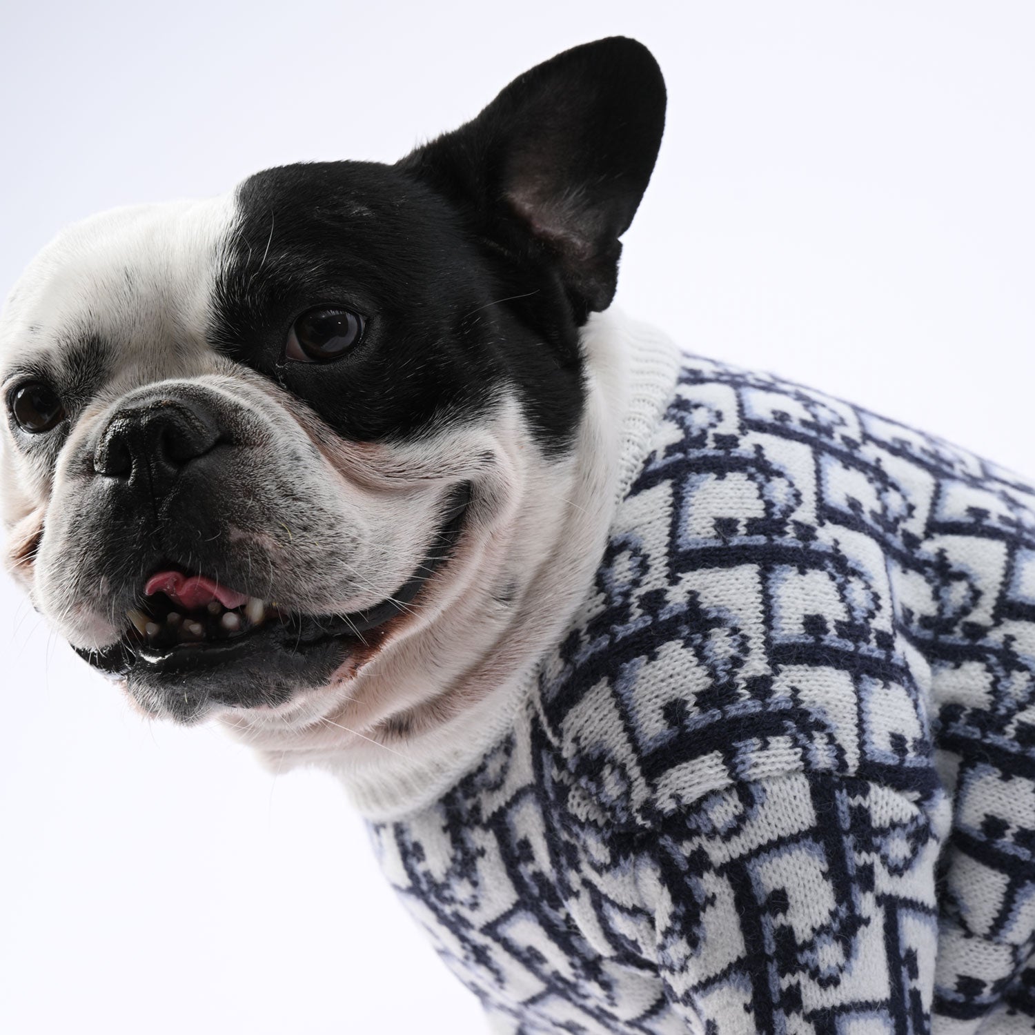 SnugStyle French Bulldog Accessory for Frenchie Enthusiasts-fadou