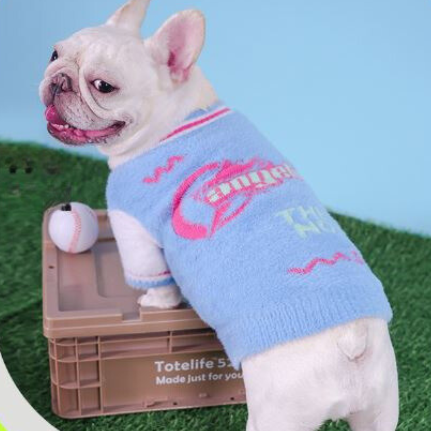 French Bulldog Winter Pet Sweater for Training Sessions-fadou