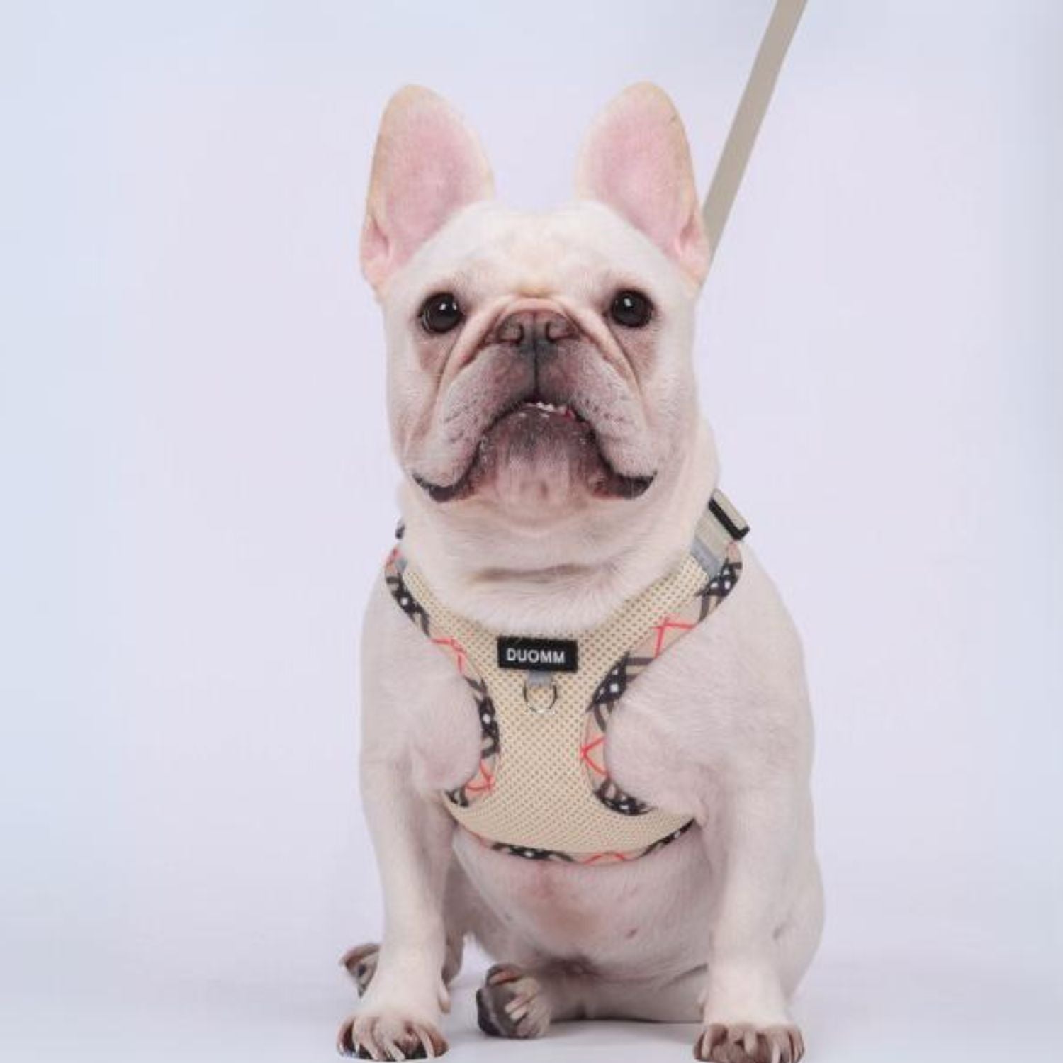 Explosion-Proof No-Pull Chest Harness for Training Sessions-fadou