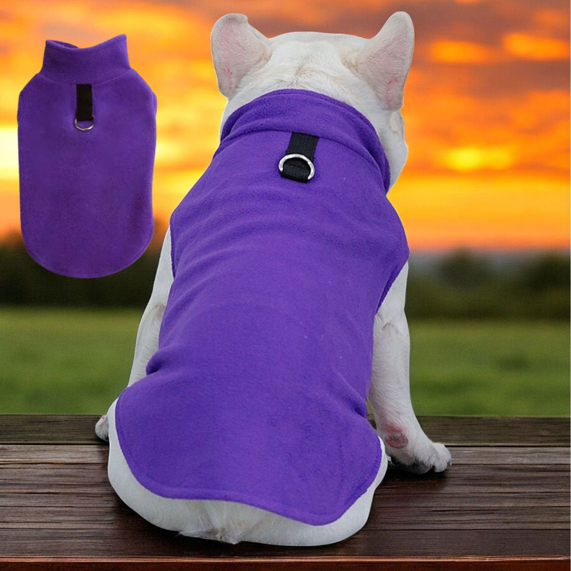 French Bulldog Premium Pet Jacket for Outdoor Adventures-fadou