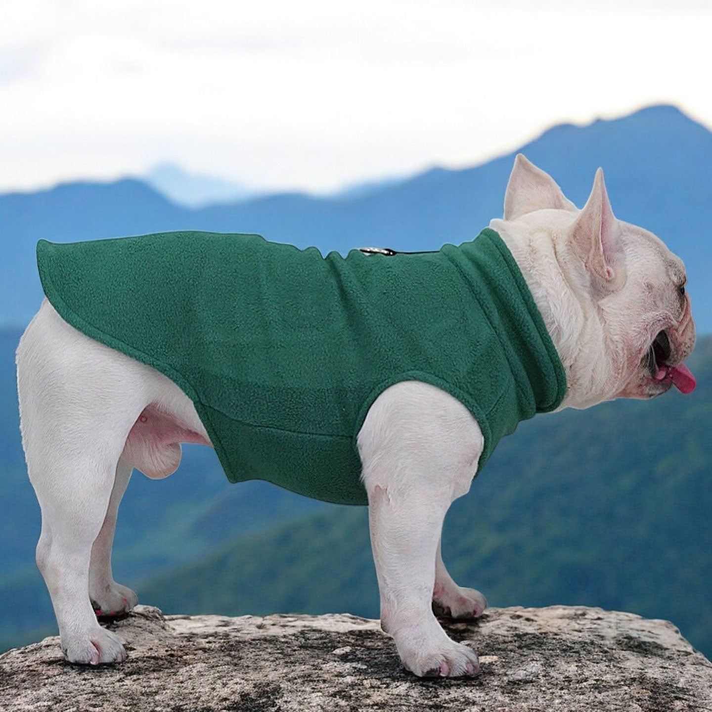 French Bulldog Premium Pet Jacket for Outdoor Adventures-fadou