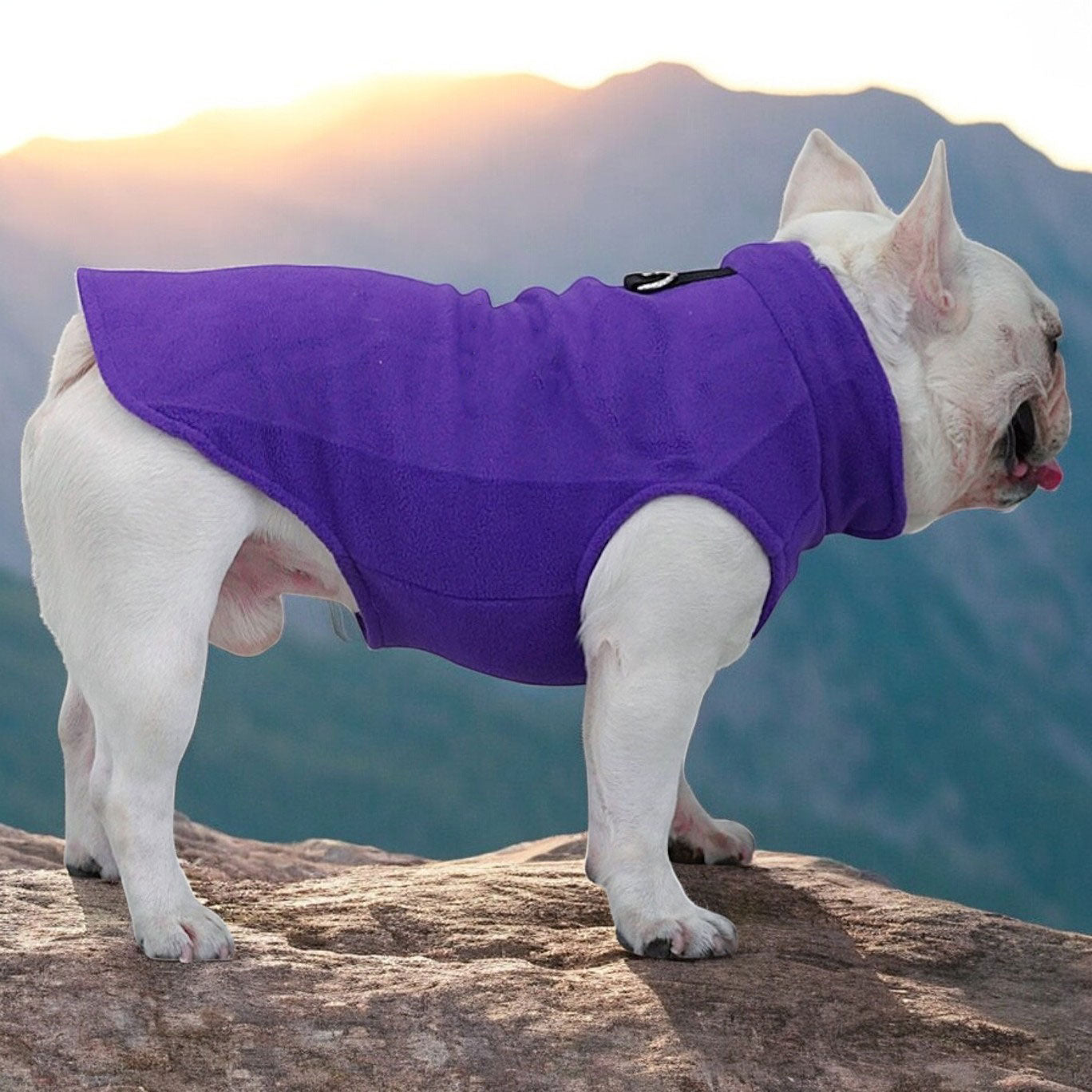 French Bulldog Premium Pet Jacket for Outdoor Adventures-fadou