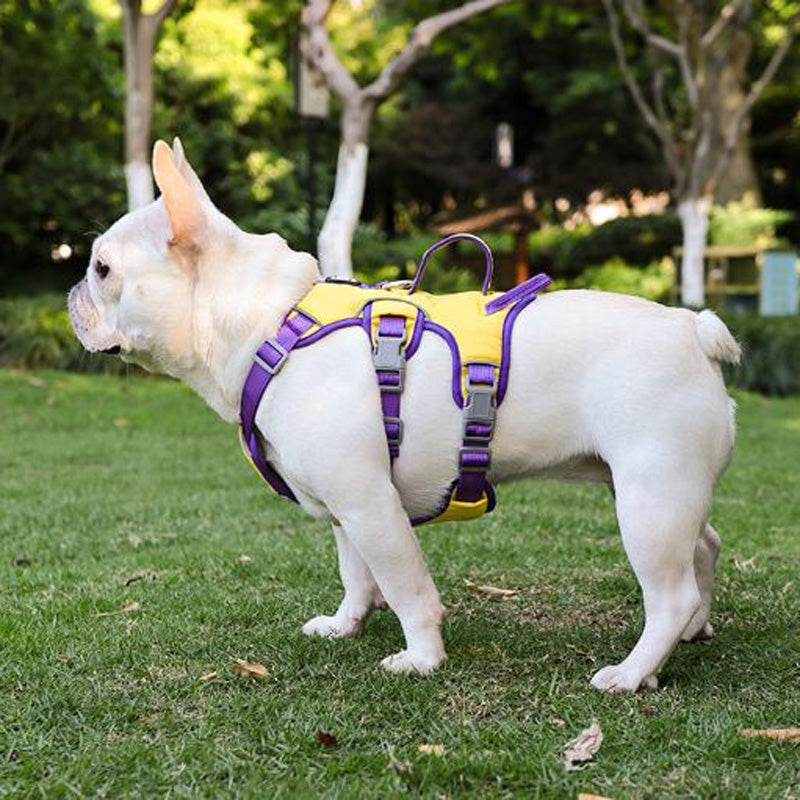 Reflective No-Pull Walking Harness for Brachycephalic Dogs-fadou