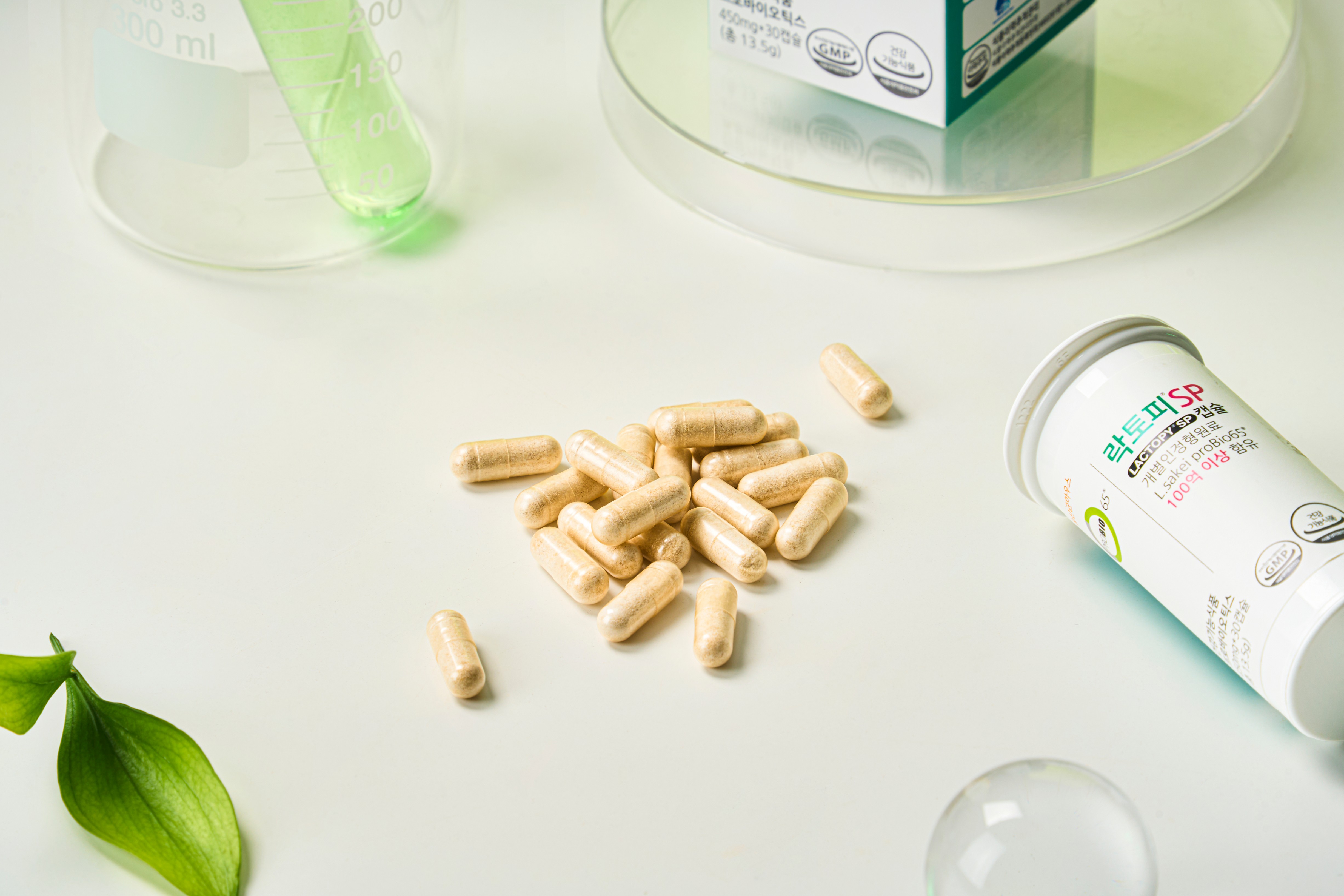 LACTOPY® SP | Korean Probiotic for Gut Health, Skin Wellness & Gut-Skin Microbiome Support