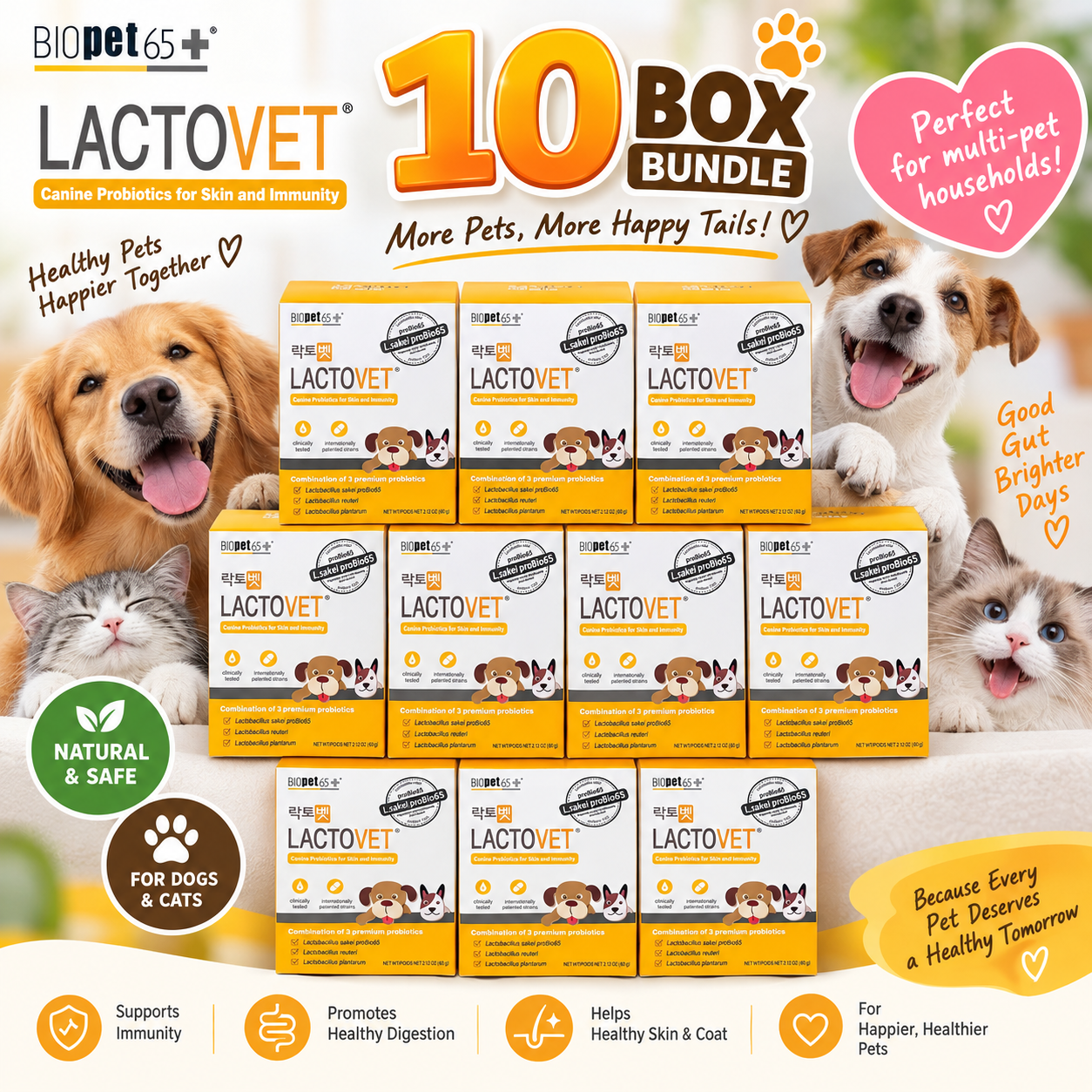 LactoVet® Probiotic for Dogs & Cats | 10-Box Bundle, 300 Sachets | Gut Health, Digestive & Immune Support