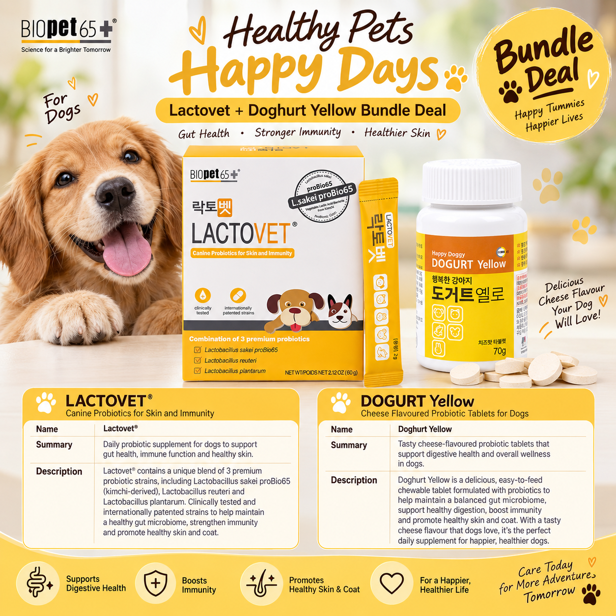 Lactovet® + Doghurt Yellow Bundle | Probiotics for Dogs for Gut, Immunity & Skin Health (3 Months Supply)