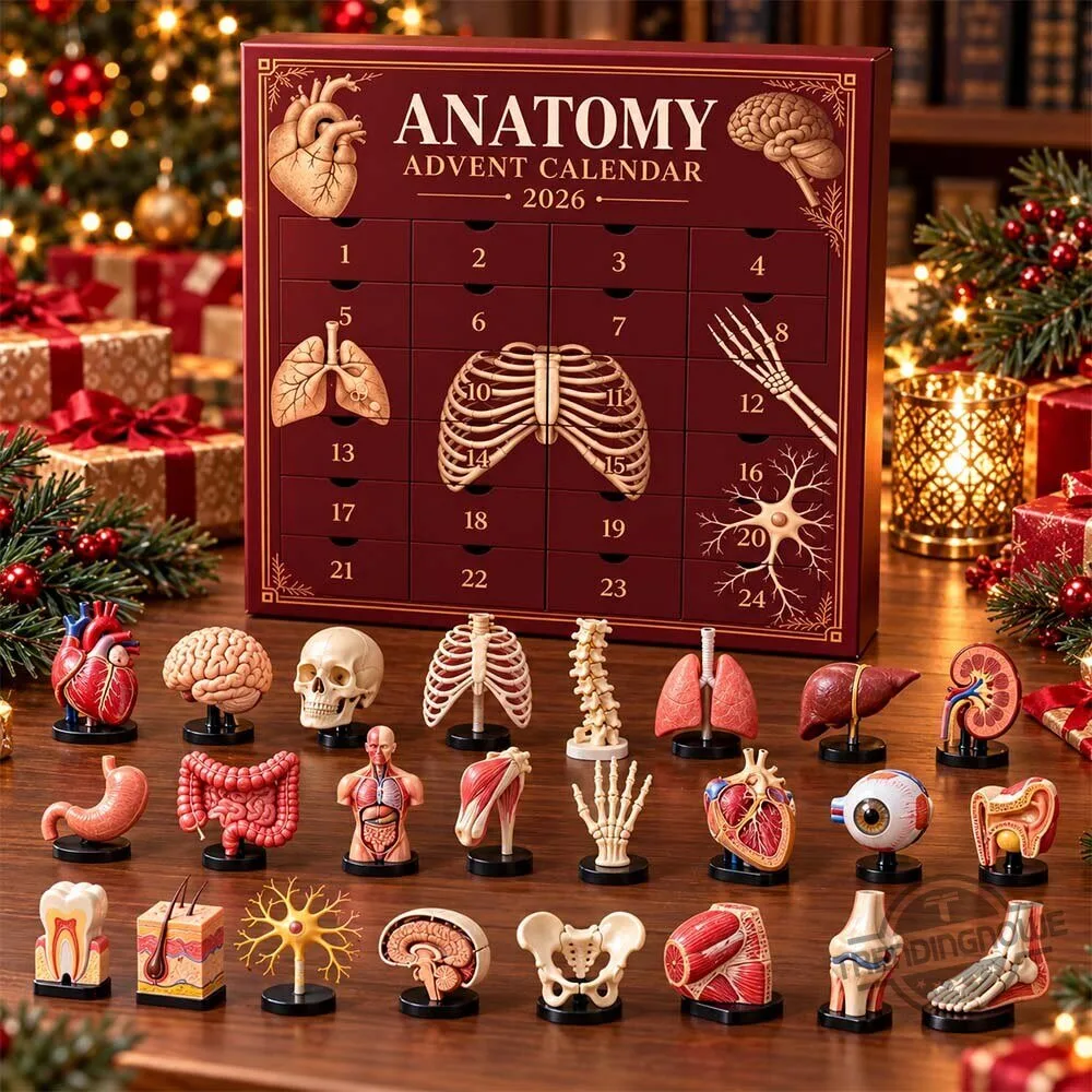 Anatomy Mini Organ & Skeleton Advent Calendar 2026 view 1