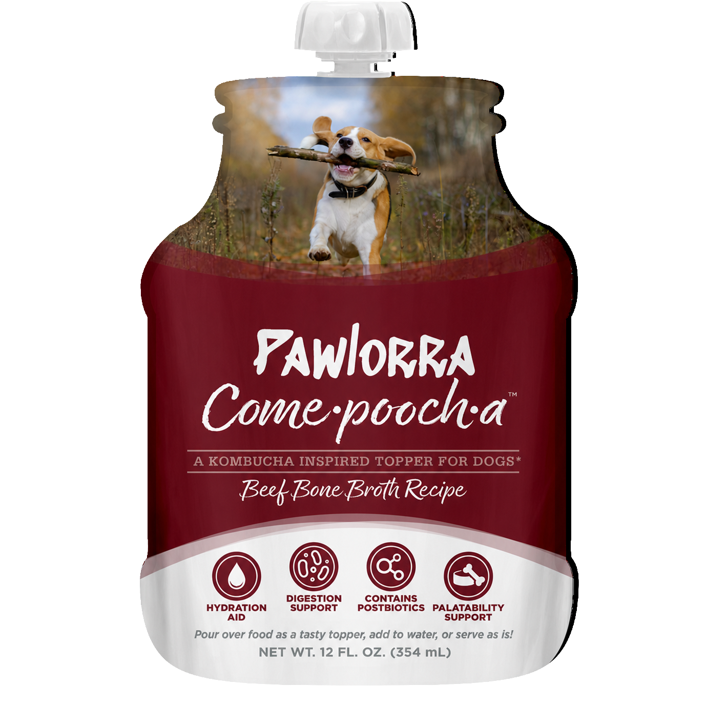 PAWLORRA Come-Pooch-A Beef Broth Recipe - image 1