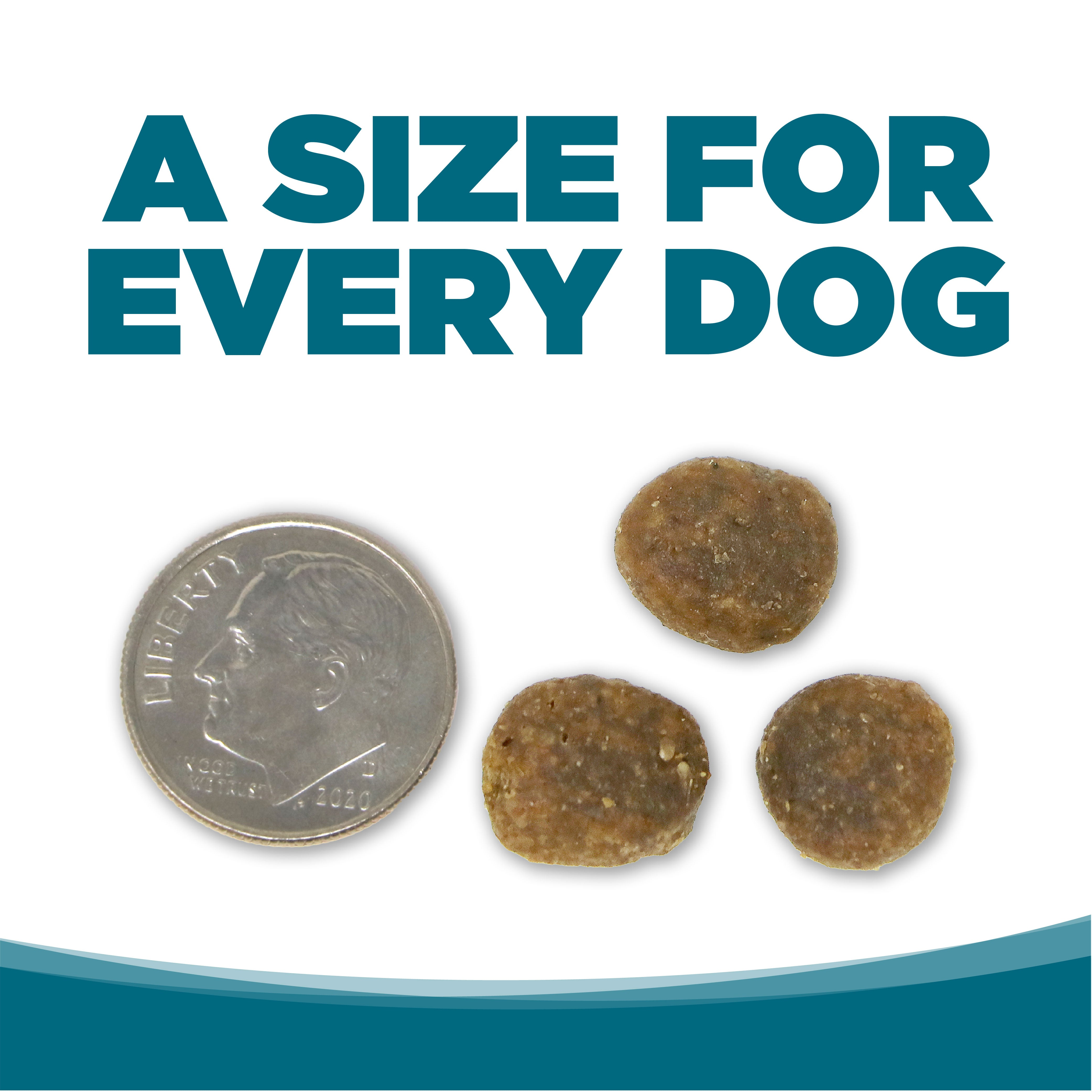 PAWLORRA Grain Free Chicken & Pea Dry Dog Food - image 6