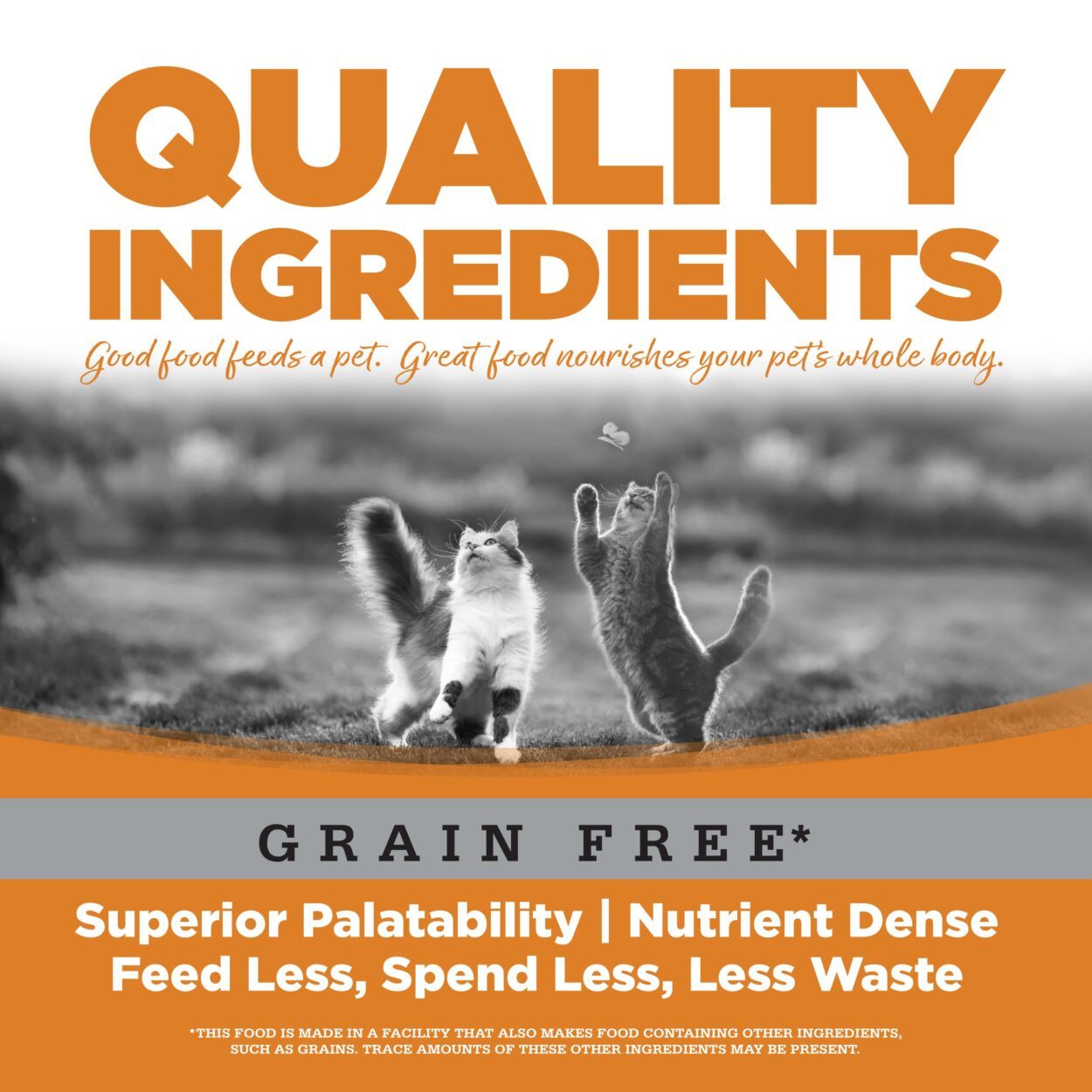 PAWLORRA Grain Free Lamb Select Canned Cat Food - image 2