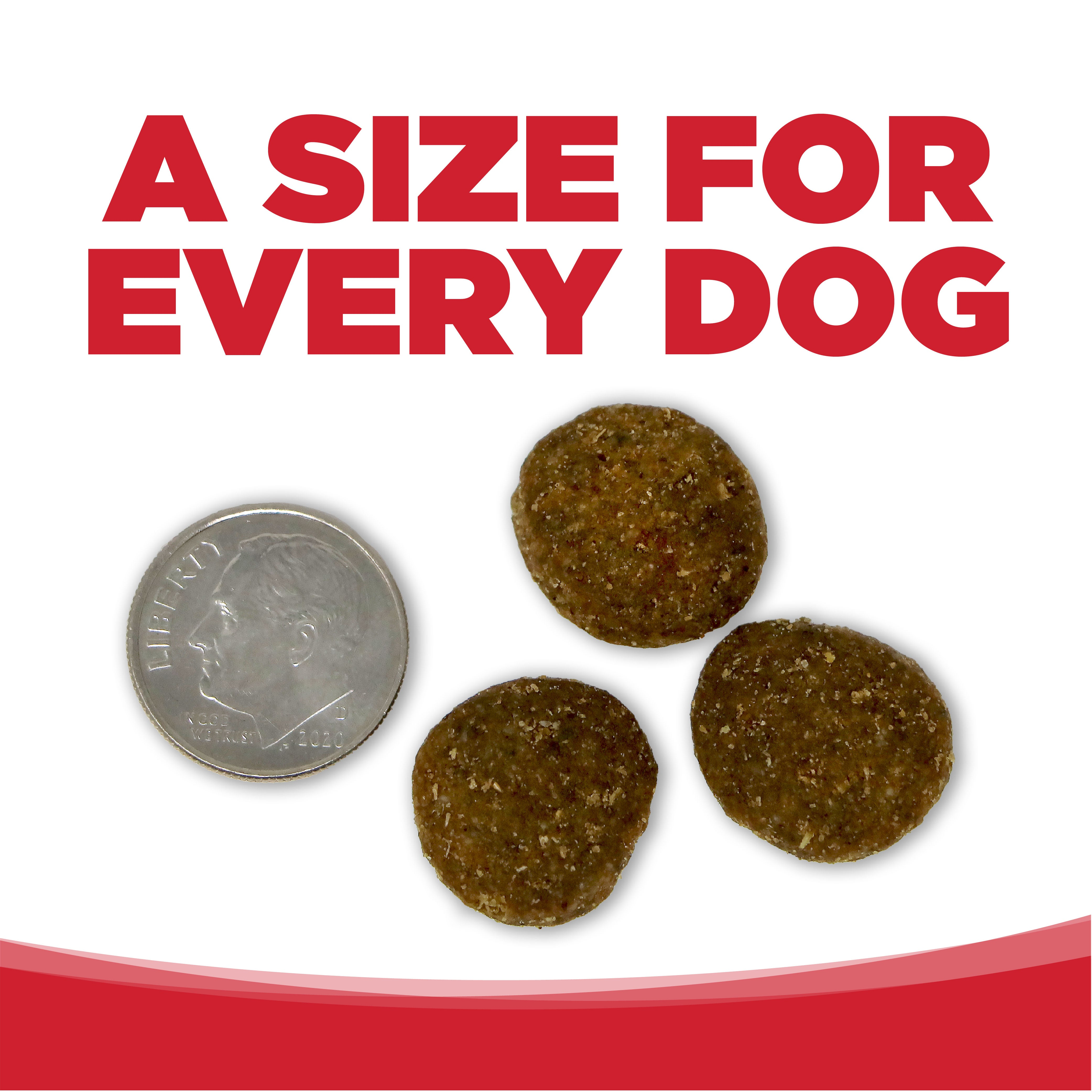 PAWLORRA Large Breed Beef & Rice Recipe Dry Dog Food - image 3