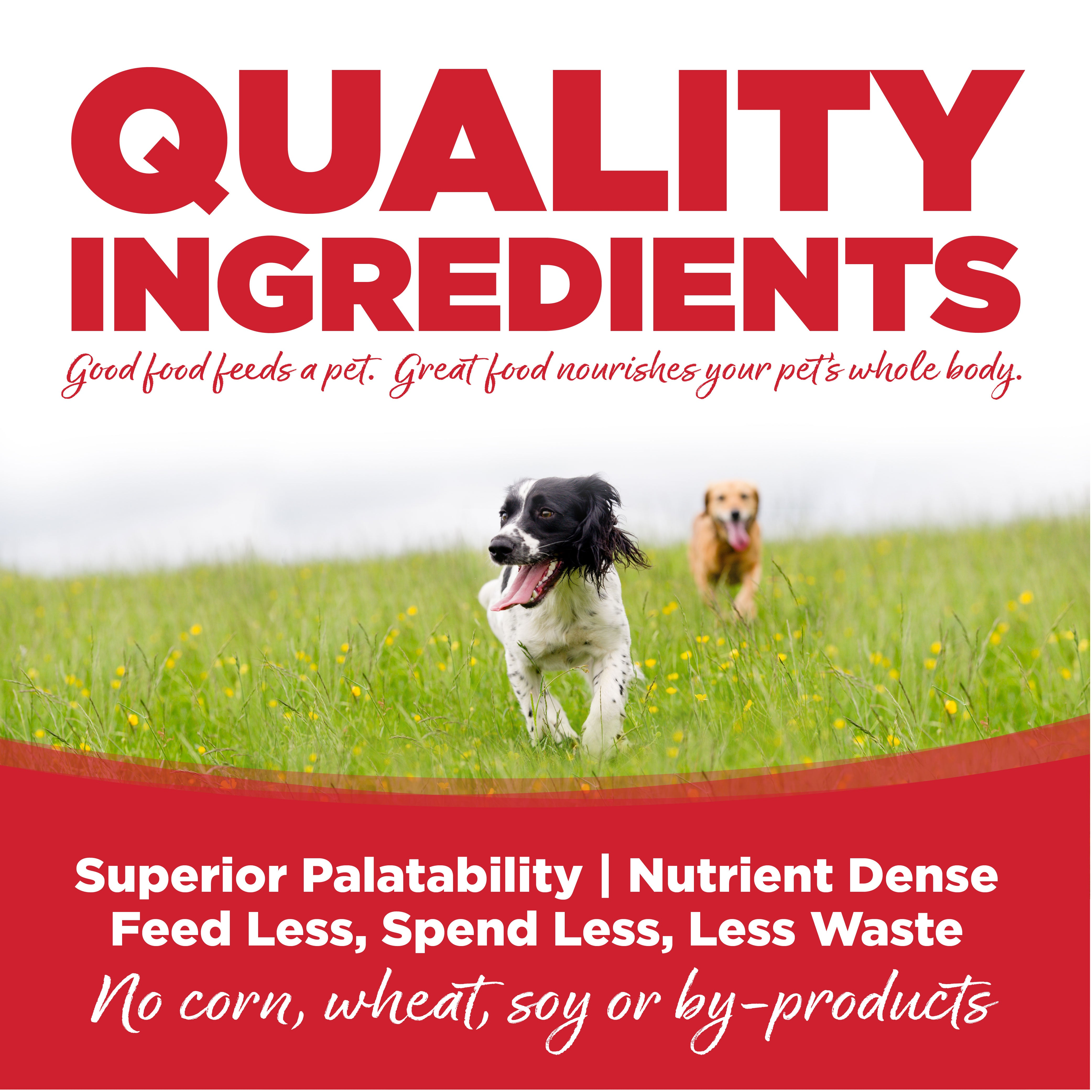 PAWLORRA Large Breed Beef & Rice Recipe Dry Dog Food - image 6