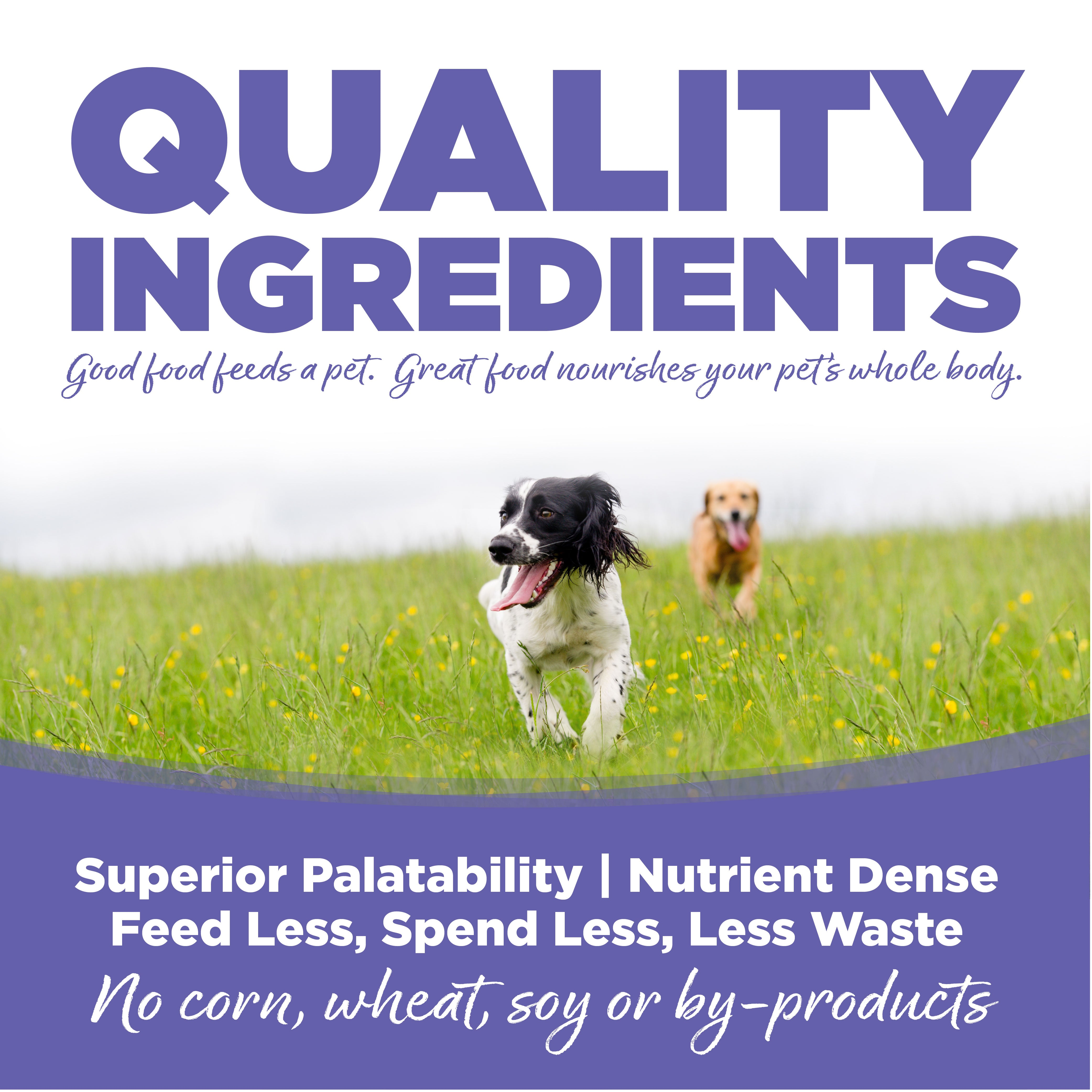 PAWLORRA Small & Medium Breed Puppy Chicken & Rice Dry Dog Food - image 5