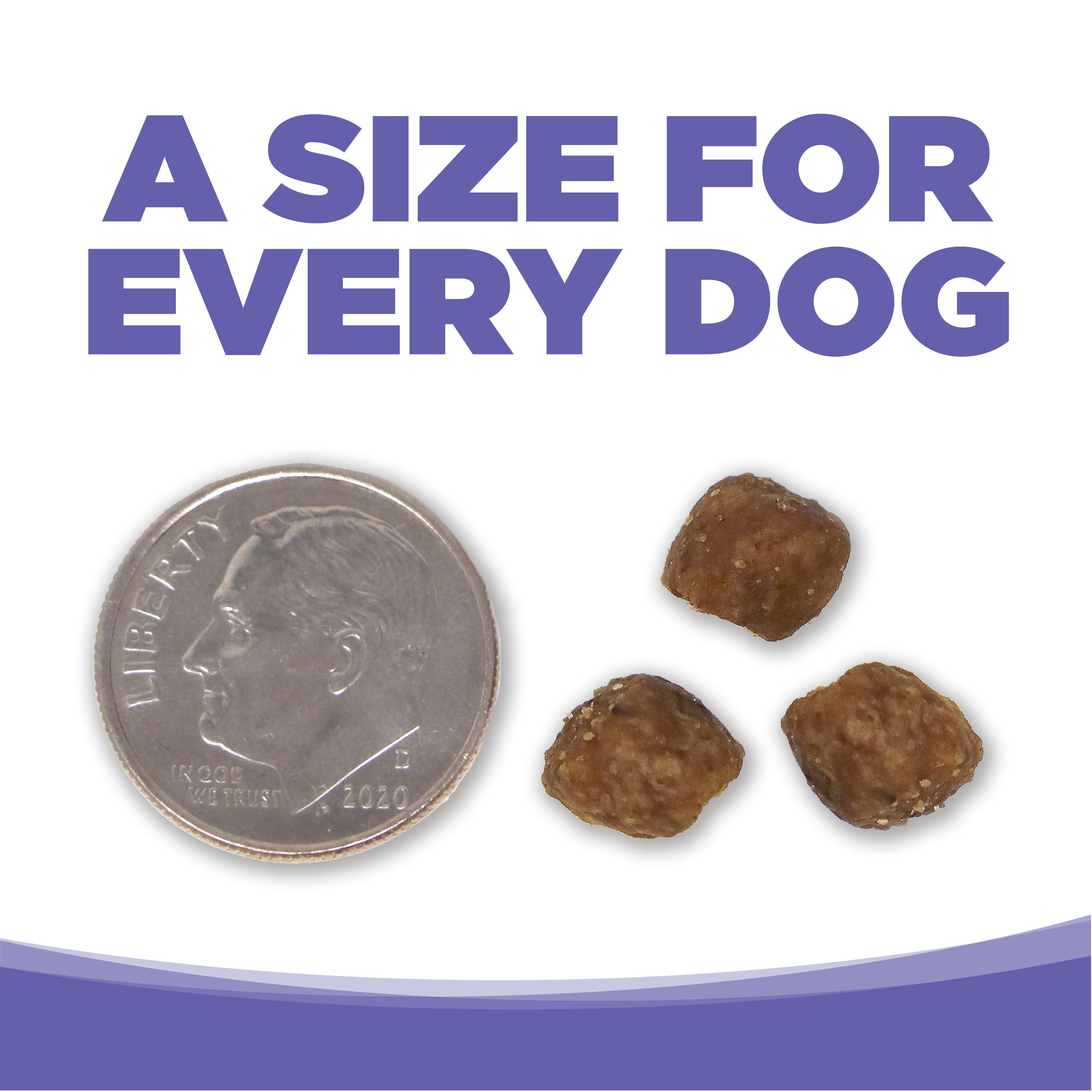 PAWLORRA Small & Medium Breed Puppy Chicken & Rice Dry Dog Food - image 6