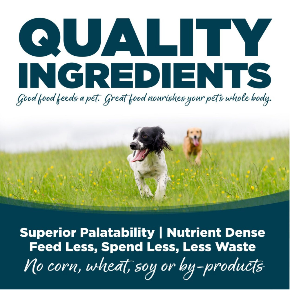 PAWLORRA Small Bites Chicken & Rice Recipe Dry Dog Food - image 5