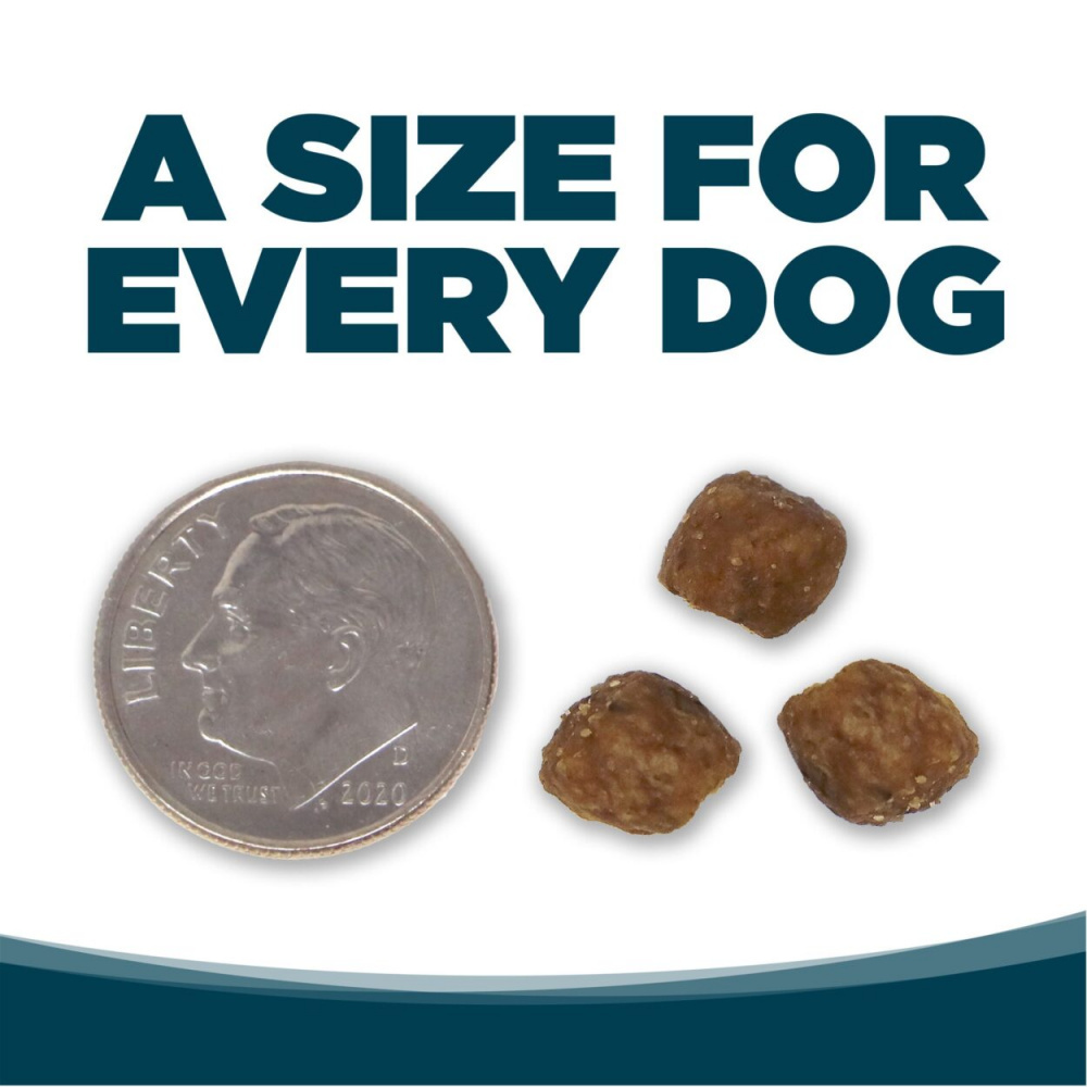 PAWLORRA Small Bites Chicken & Rice Recipe Dry Dog Food - image 6