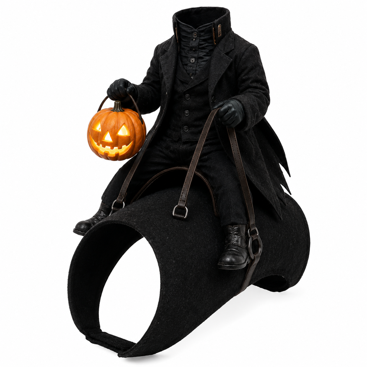 Funny Pet Rider Costume Collection