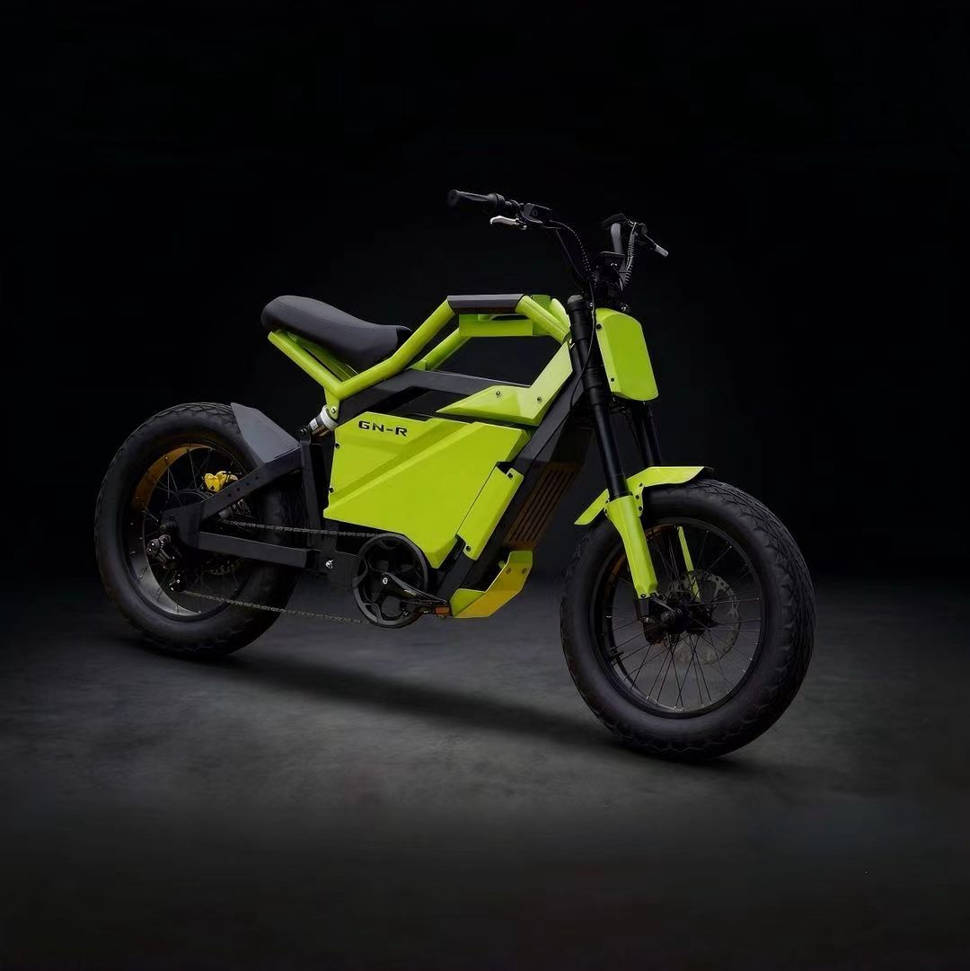 ✨Super High Quality | Tekiby GN-R Electric bicycle🏆