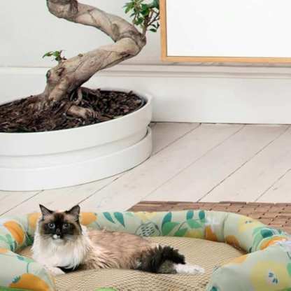 Pet Summer Sleeping Cooling Mat with Side Bolsters for Dogs And Cats